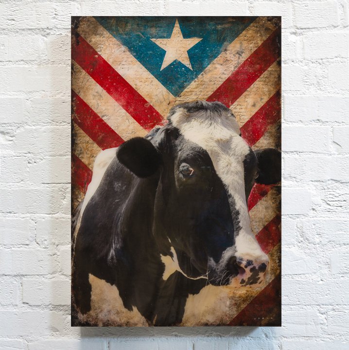AMERICANA COW, 36 X 24, SOLD