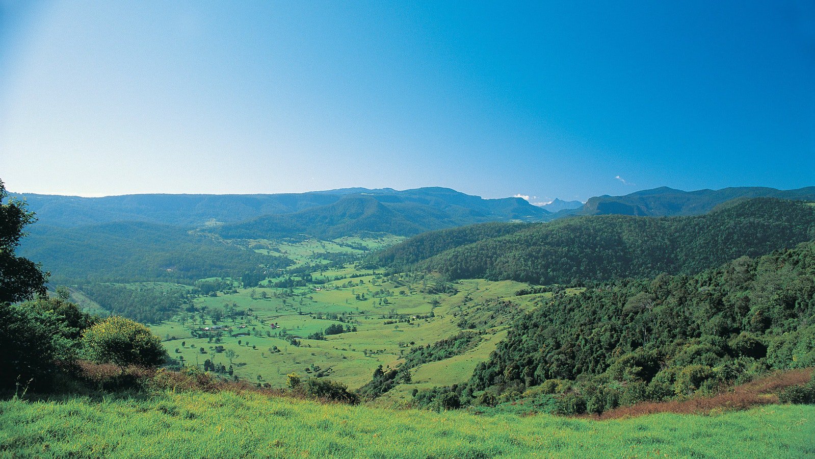 The Springbrook Plateau with Mount Warning off in the Distance. The Gold Coast Hinterland is a stunning combination of rainforest, rolling green hills, mountains and rivers.