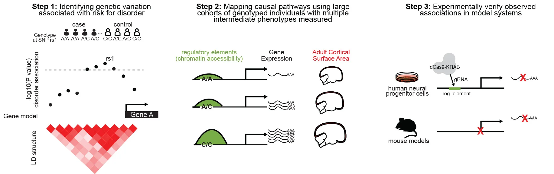 Figure1.jpg