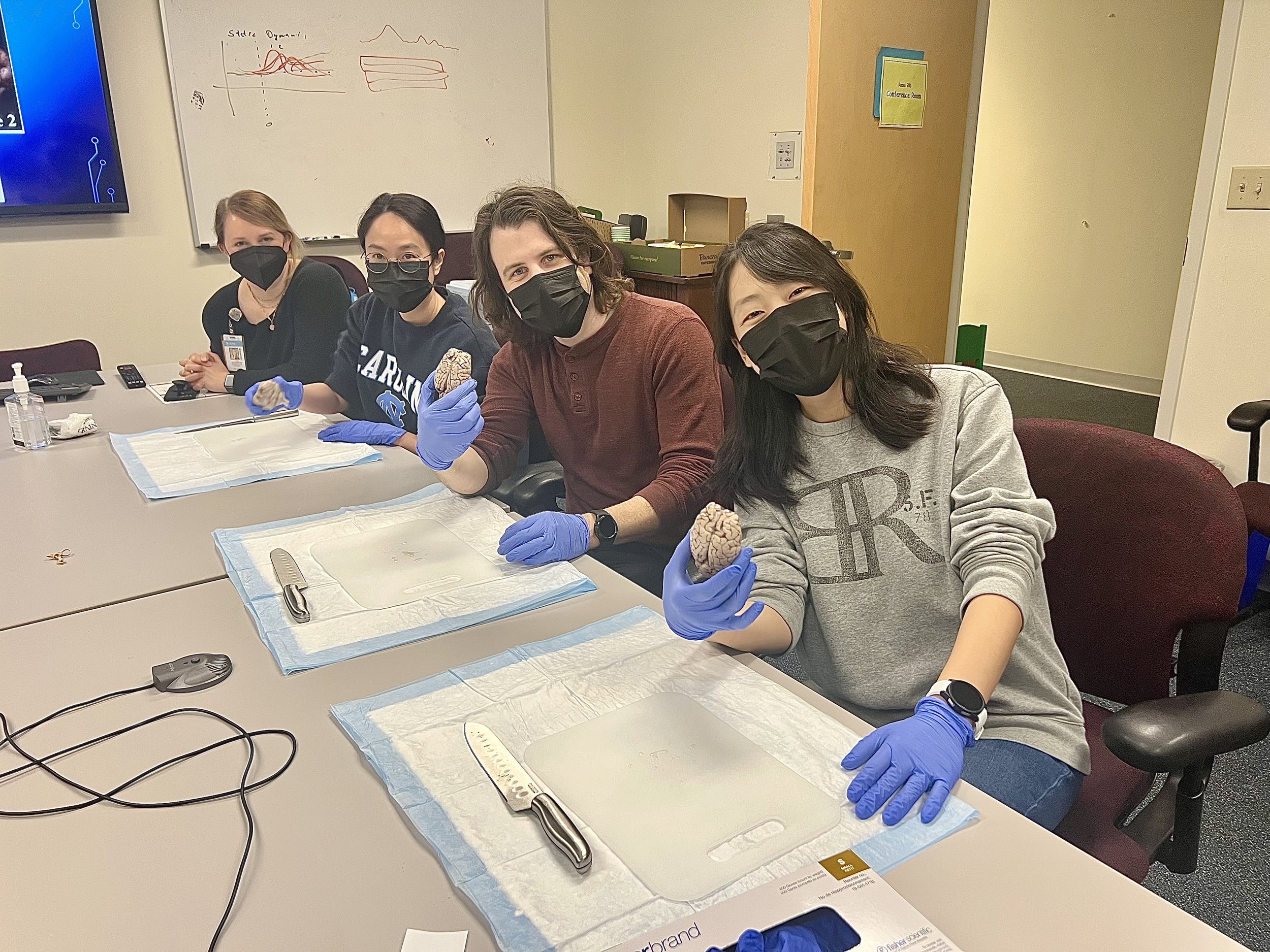 Teaching brain dissections