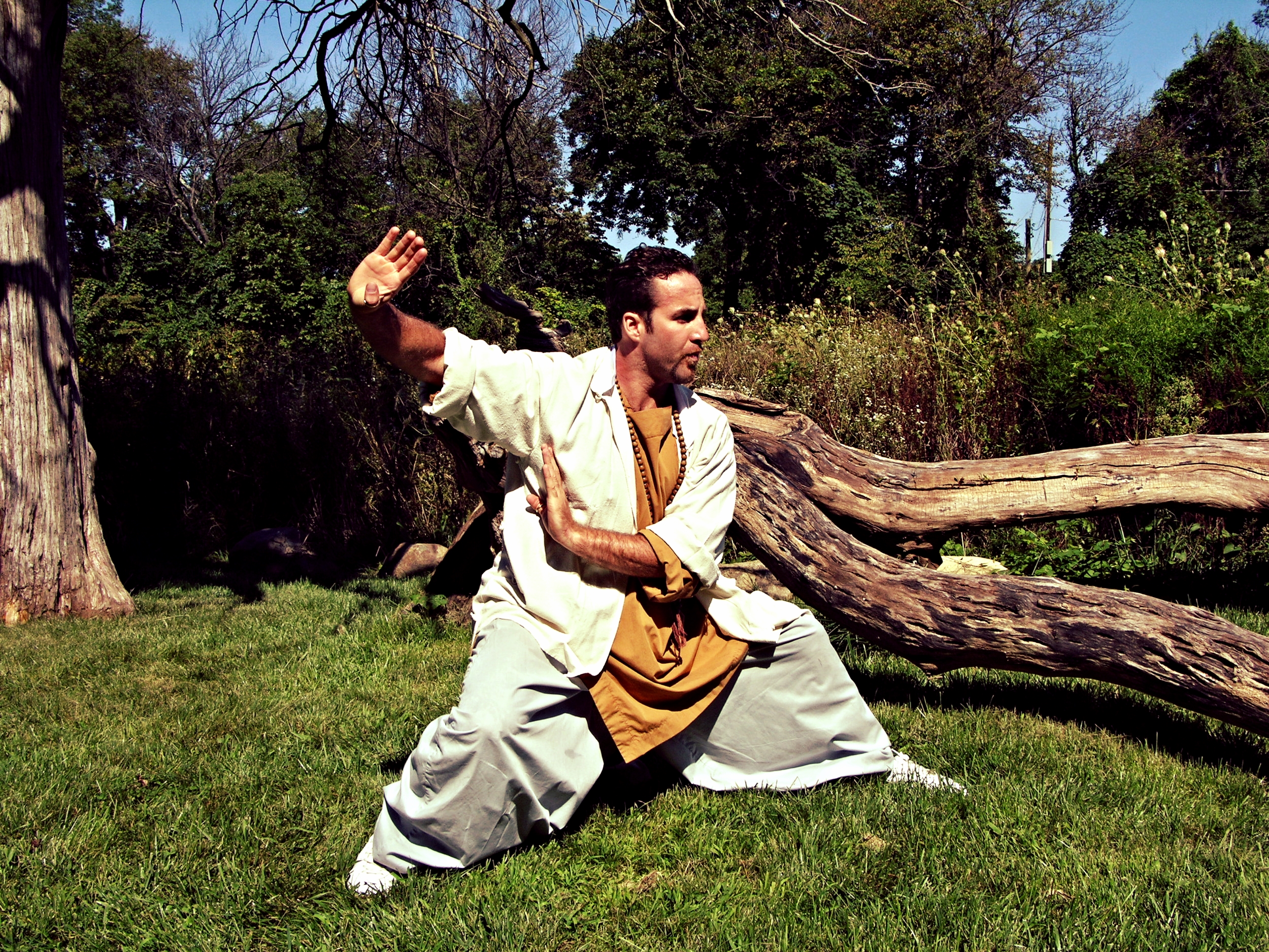 Tai Chi Chuan authentic shaolin kung fu