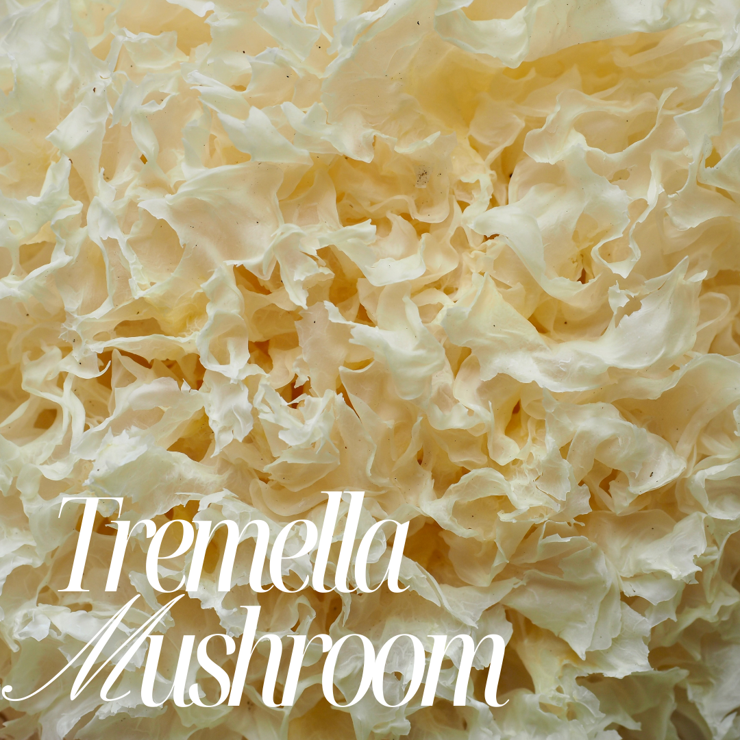 TremellaM-Carousel001.png