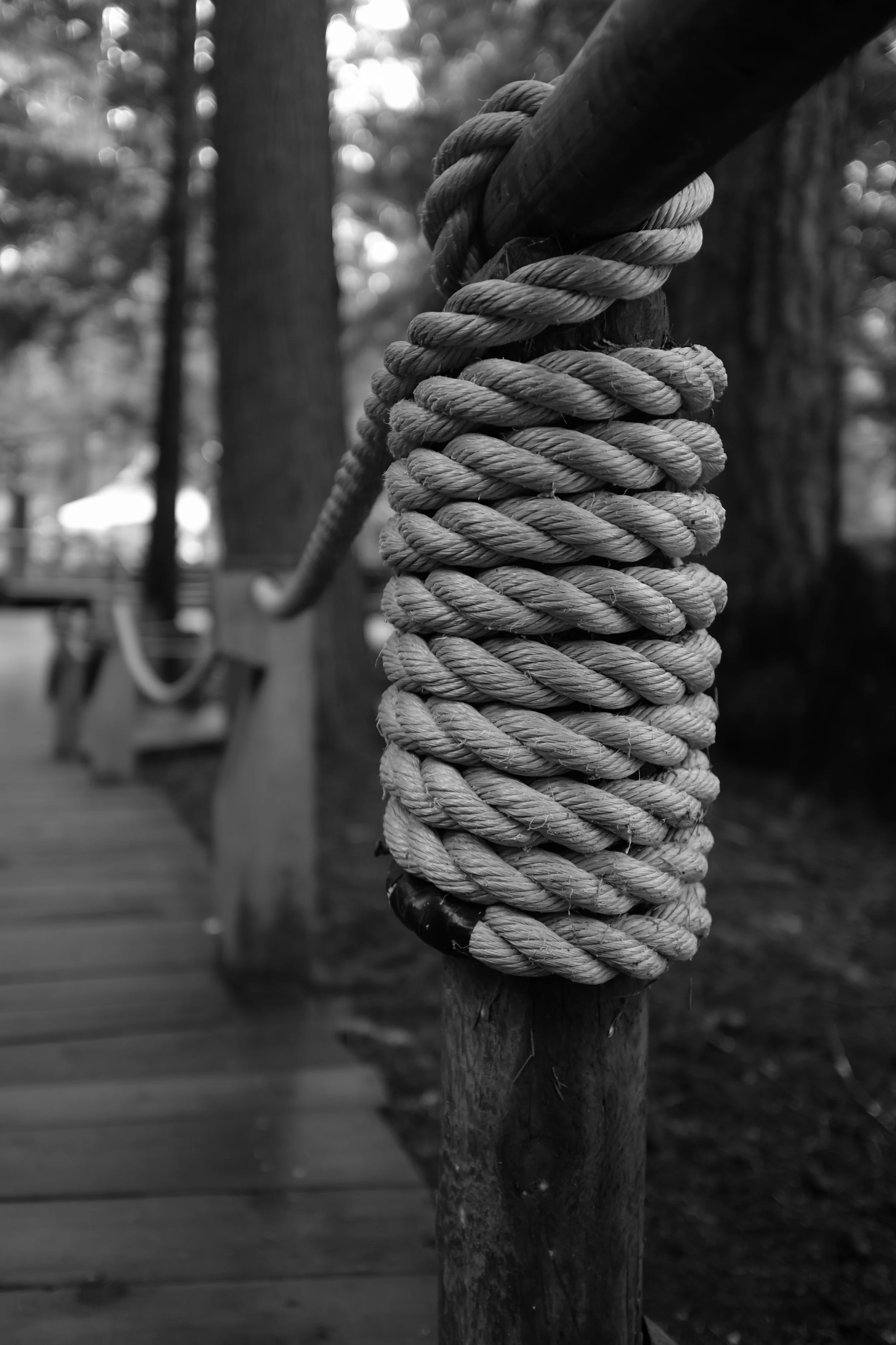 Rope Fence.JPG