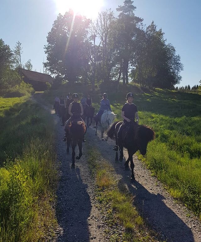 Pga sjukdom finns ett par platser lediga till v&aring;r pilgrimsritt 11/7.
Tid ca 9.00-15.00
Vi rider i tystnad, mediterar p&aring; h&auml;stryggen och njuter av naturen.
Det blir t&ouml;lt och galopp s&aring; turen passar f&ouml;r ridvana ryttare.
E