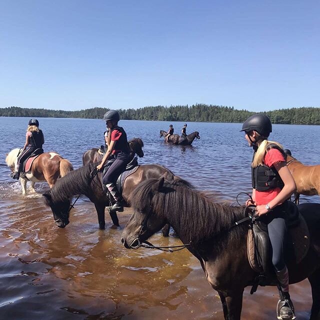 Ridl&auml;gret fors&auml;tter med underbart v&auml;der. ☀️ Vi har ridit till sj&ouml;n och badat, h&auml;starna blev s&aring; glada - speciellt russet Alvar som satte full fart och bj&ouml;d sin ryttare p&aring; tv&aring; dopp... Idag stod hoppning o