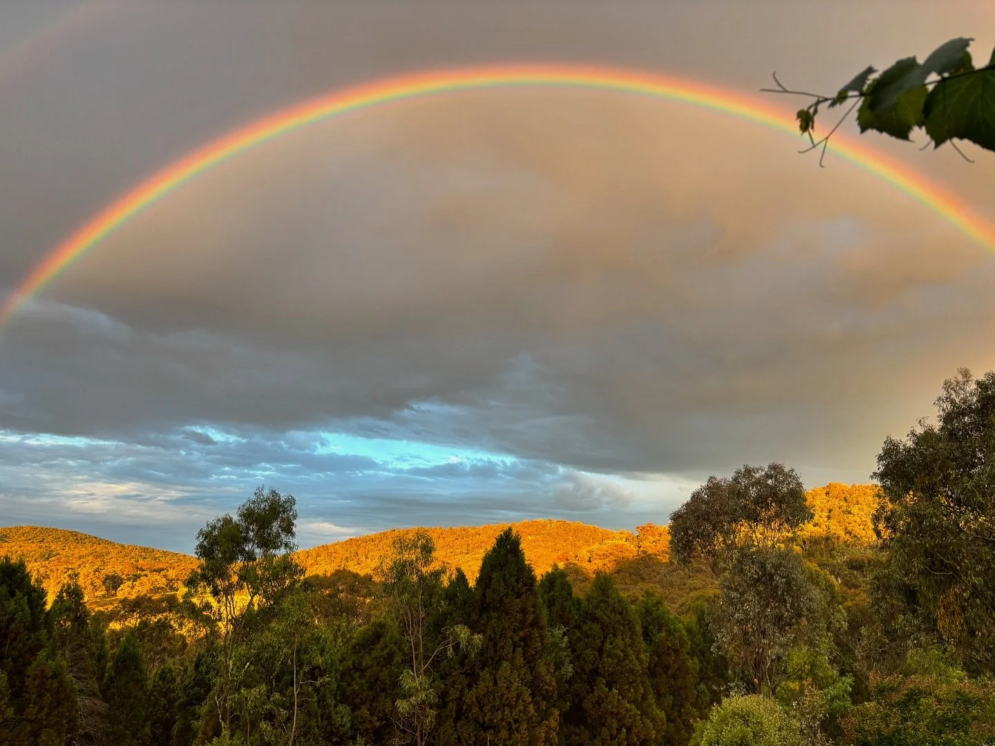 Oh behave! Nothing to see here, just nature being glorious. #mudgeeregion #mudgeewine #rainbow
