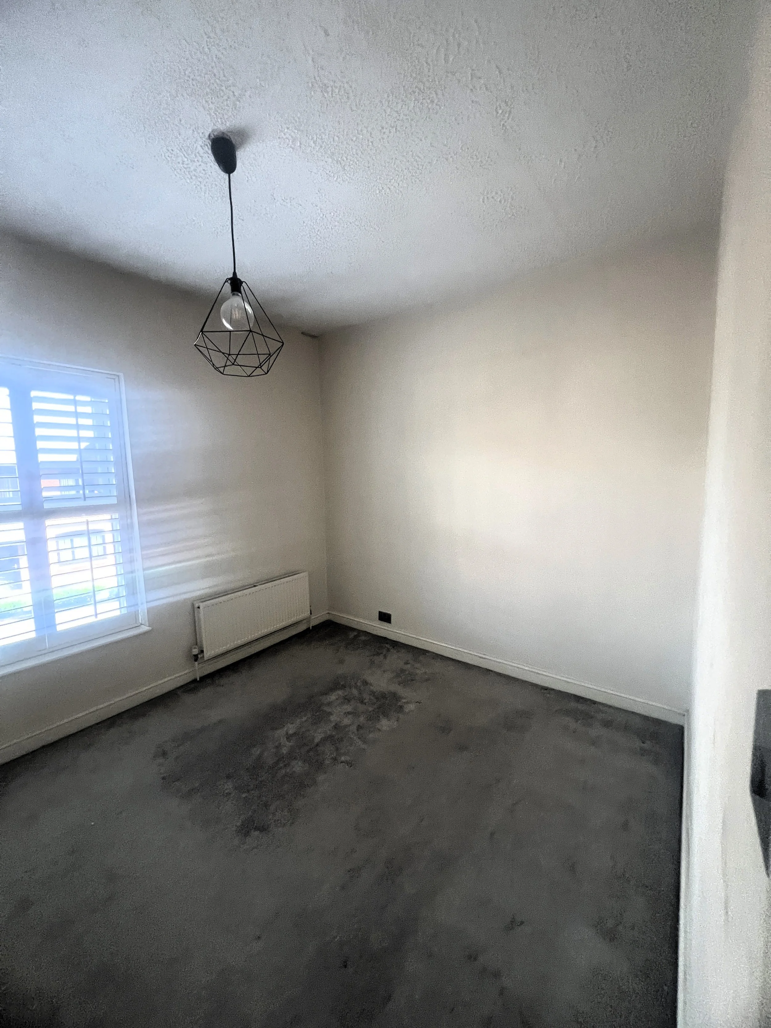 Front bed.JPG