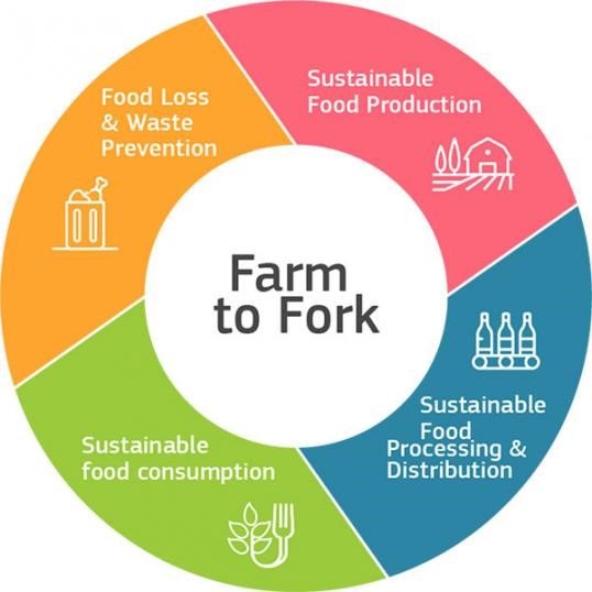 farm to fork logo.jpg