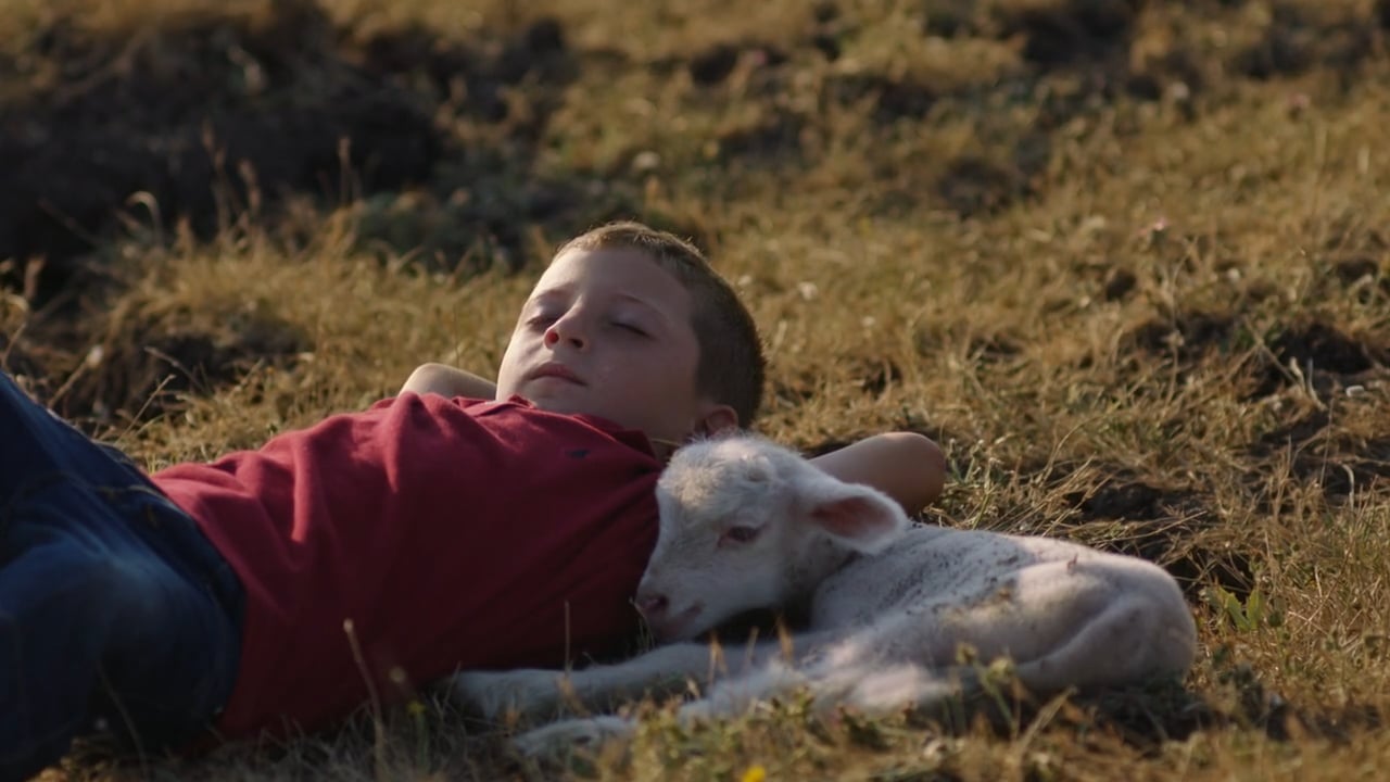 Kipa MANDIRA LEZZETLERI