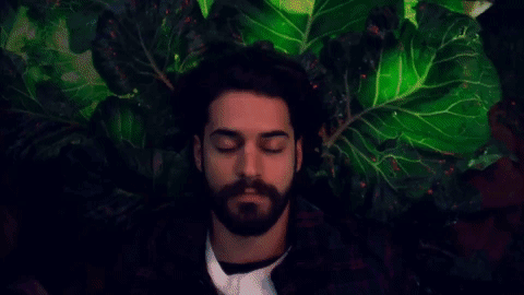 giphy-2.gif