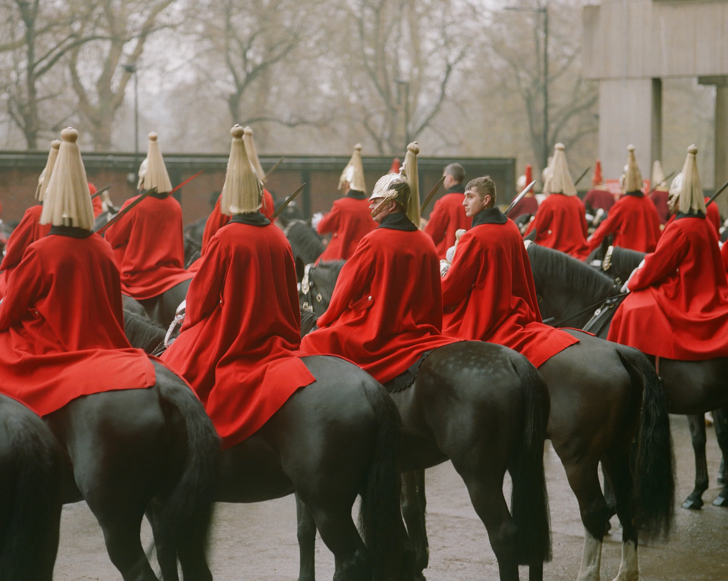 rachel brown cat dolls