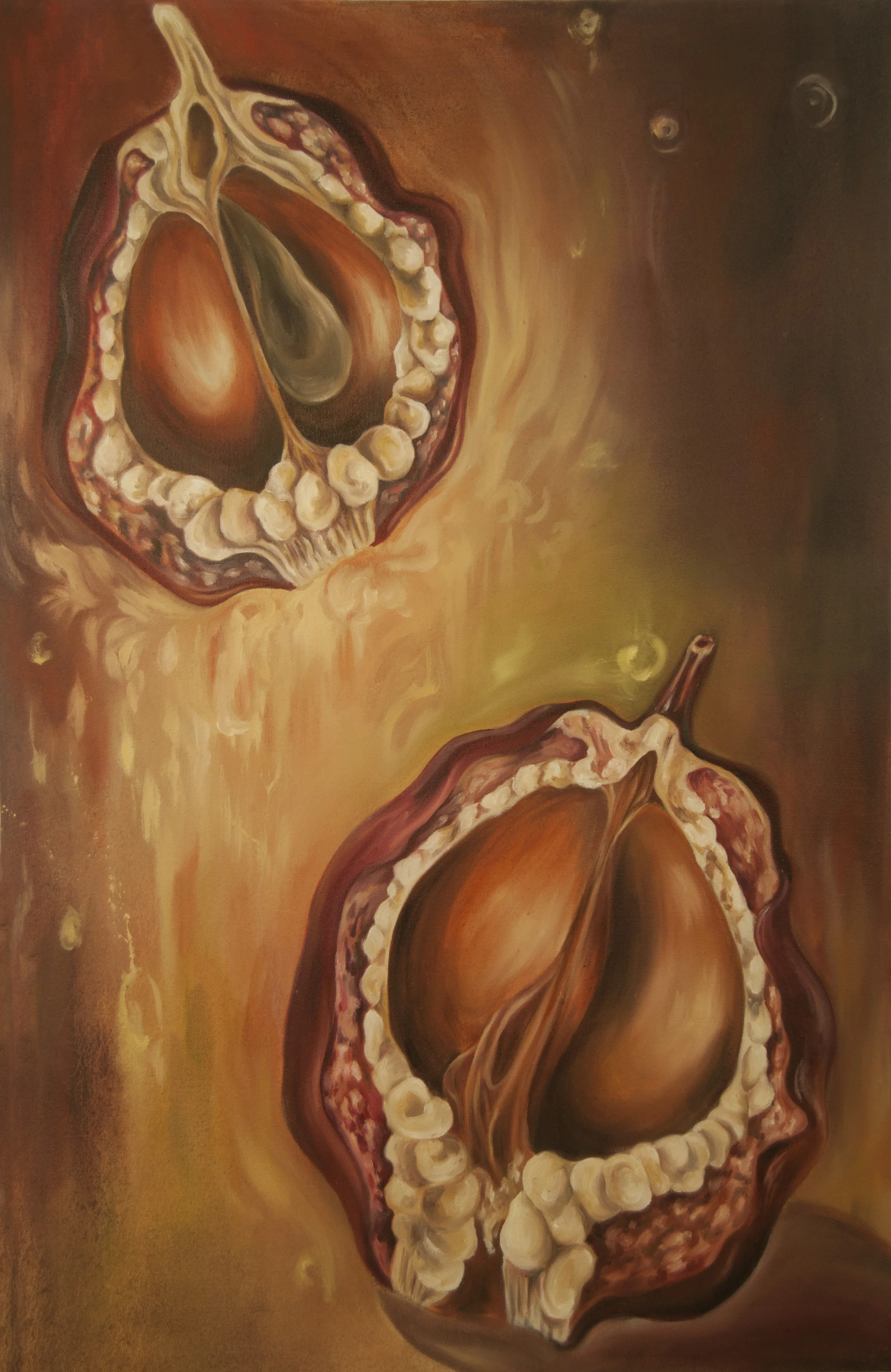 Last of the Legacy (Seed Pods)
