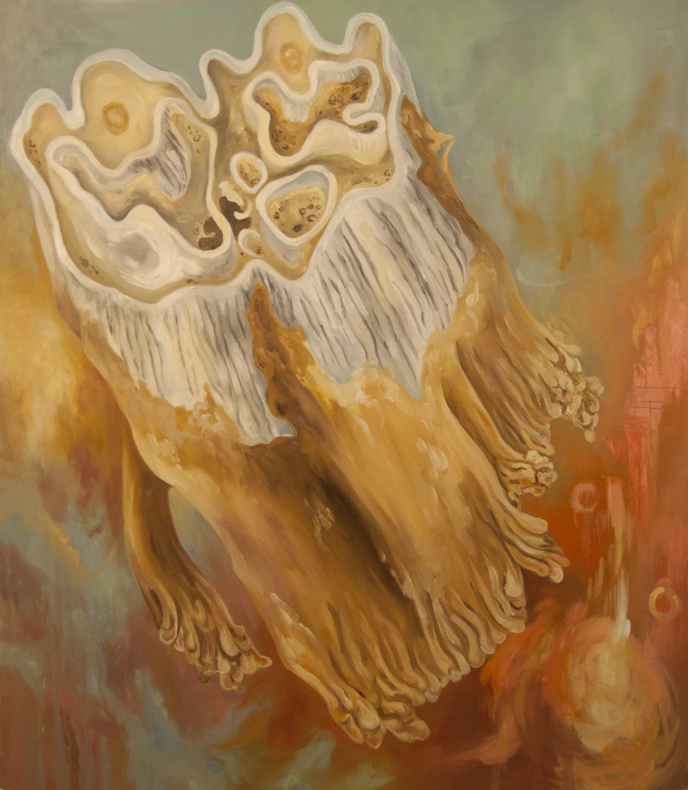 The Cow's Gift (Cow Tooth)
