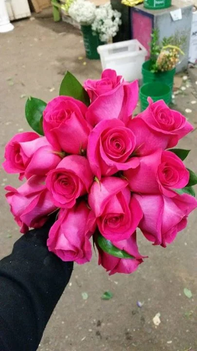 Pink Roses, also comes in a wide variety of other colours.