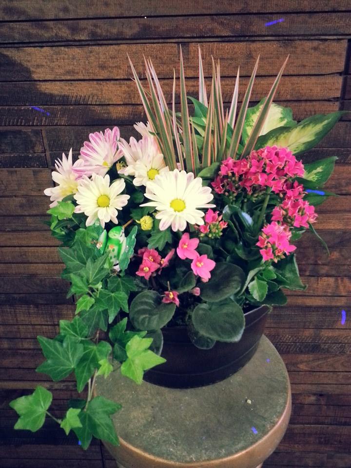Custom-made planters with seasonal plants!