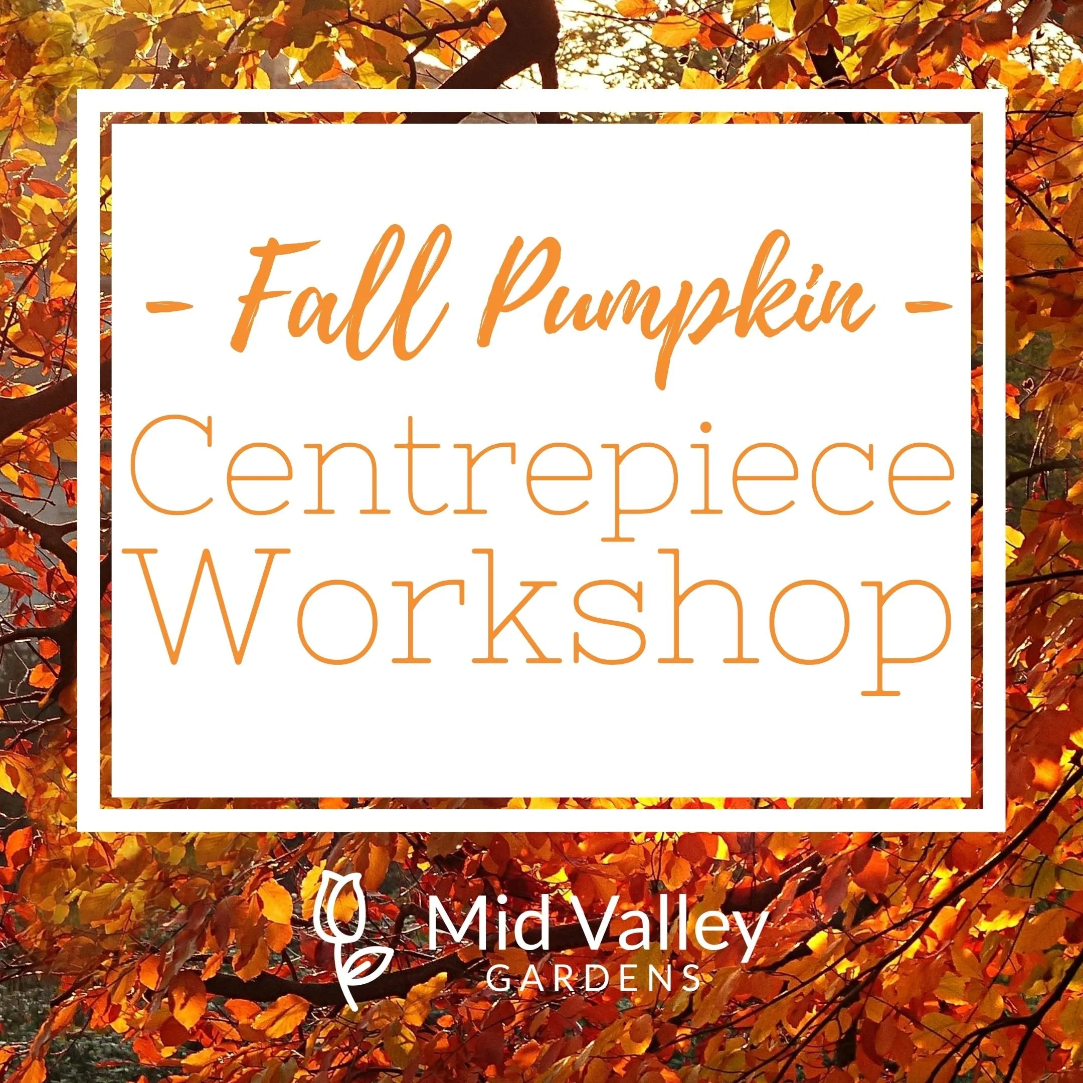 Fall Pumpkin Centrepiece Workshop.jpg