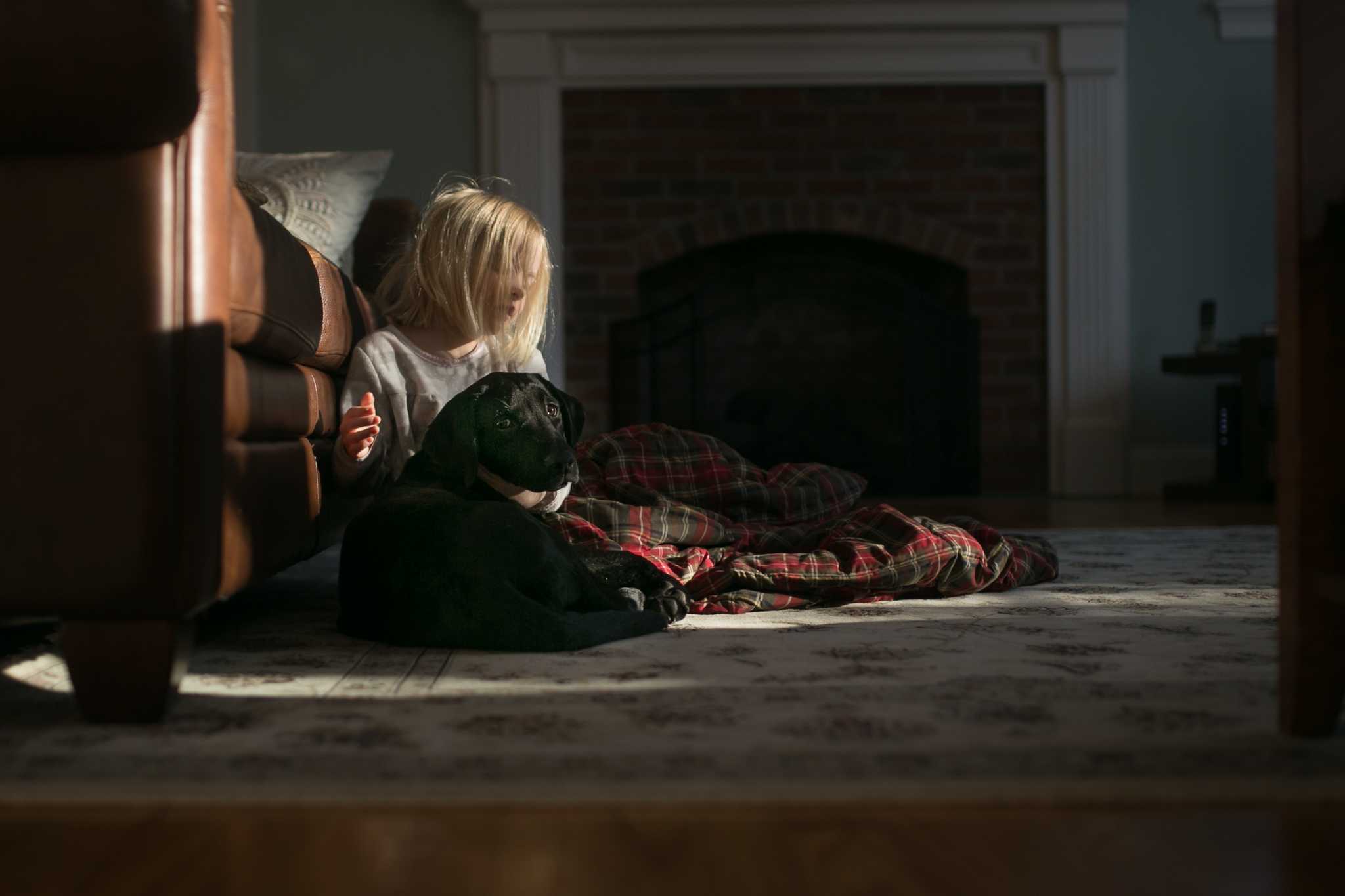12 puppy and livi in light.jpg