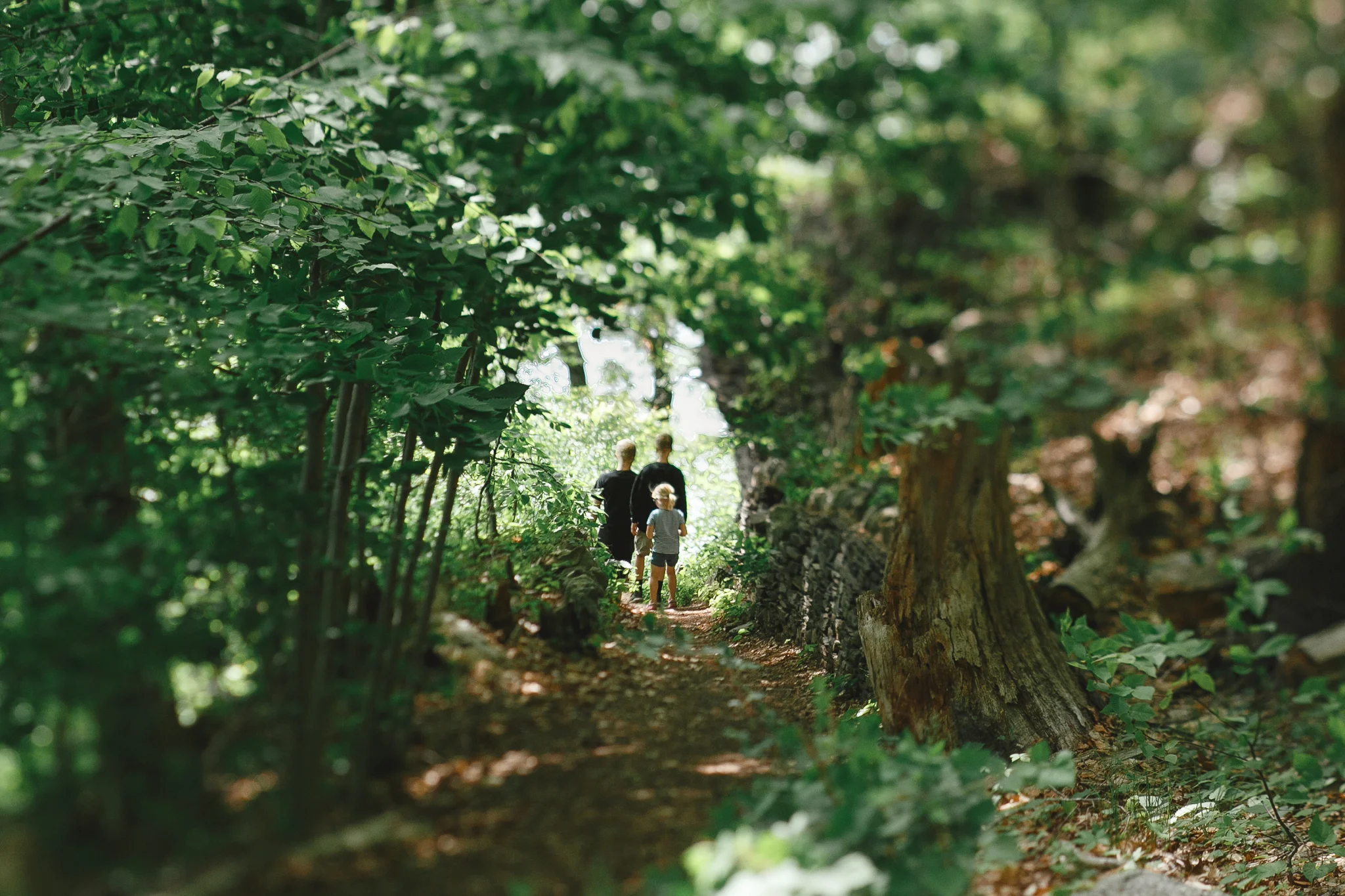26 kids trail hike.jpg