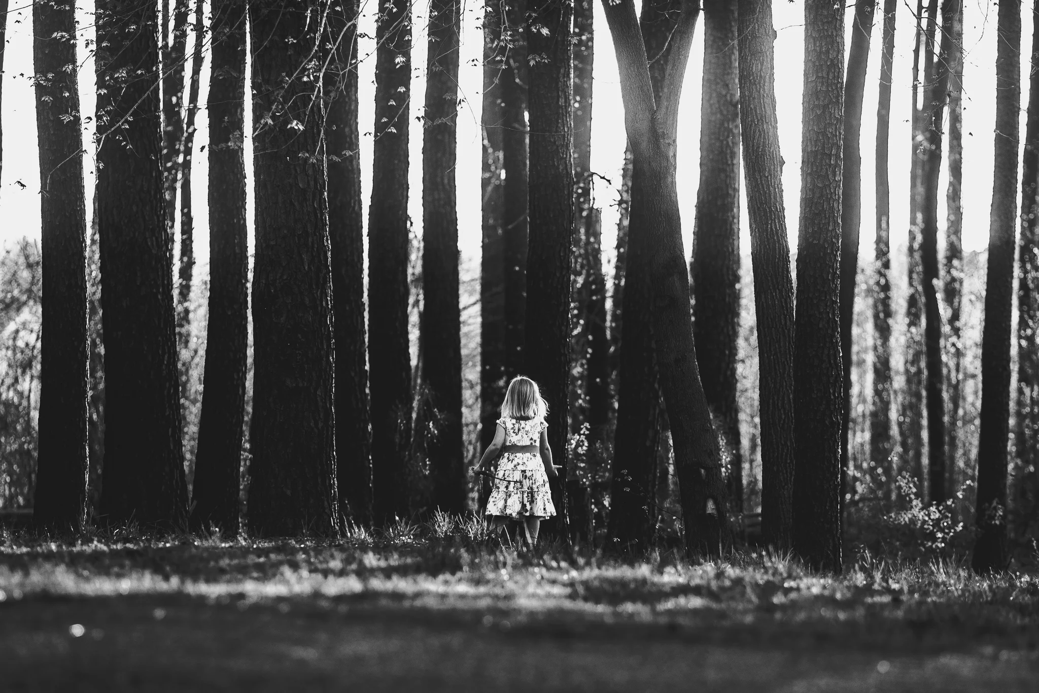 44 fun forest park-4.jpg