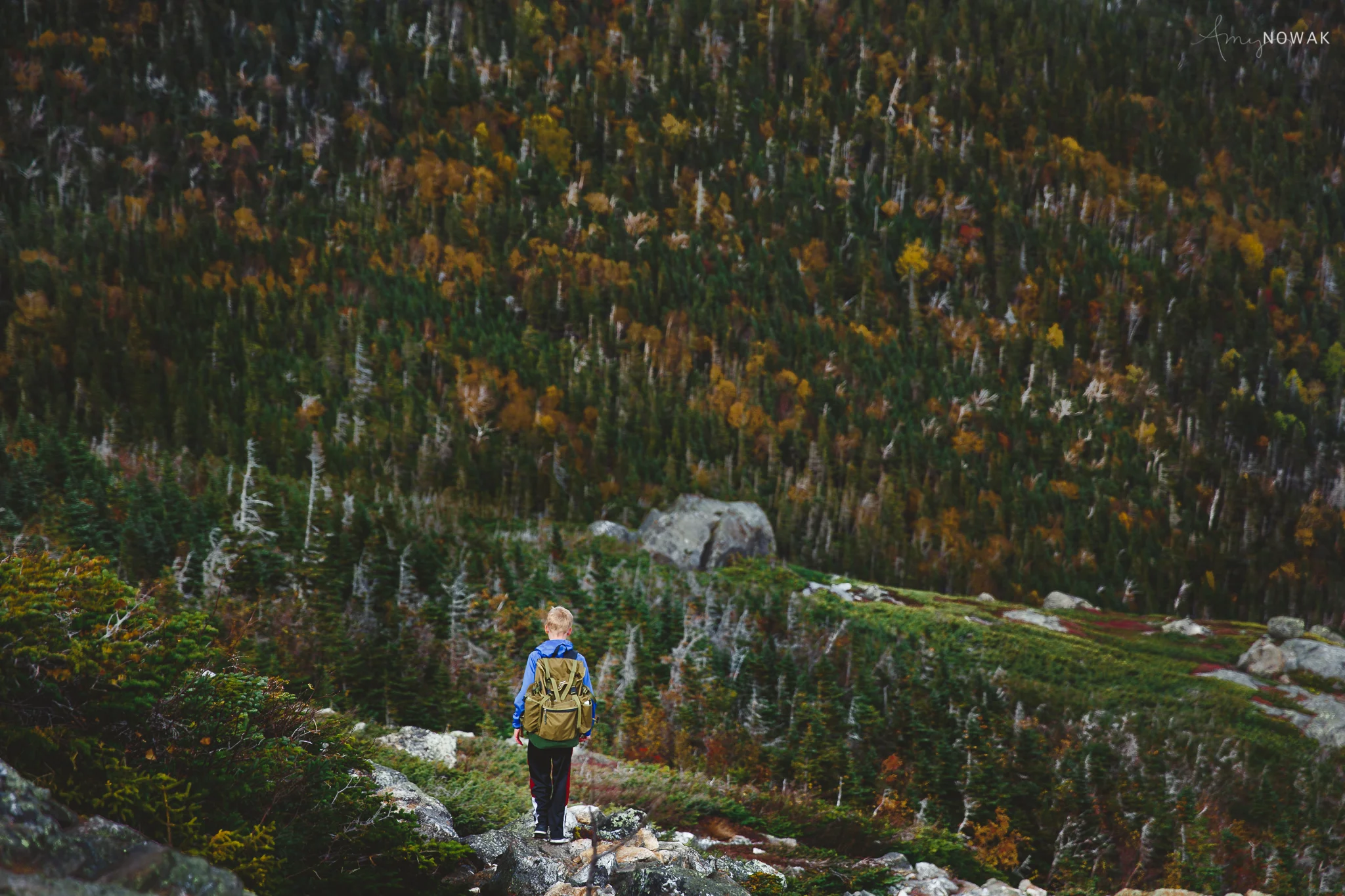 hiking down.jpg
