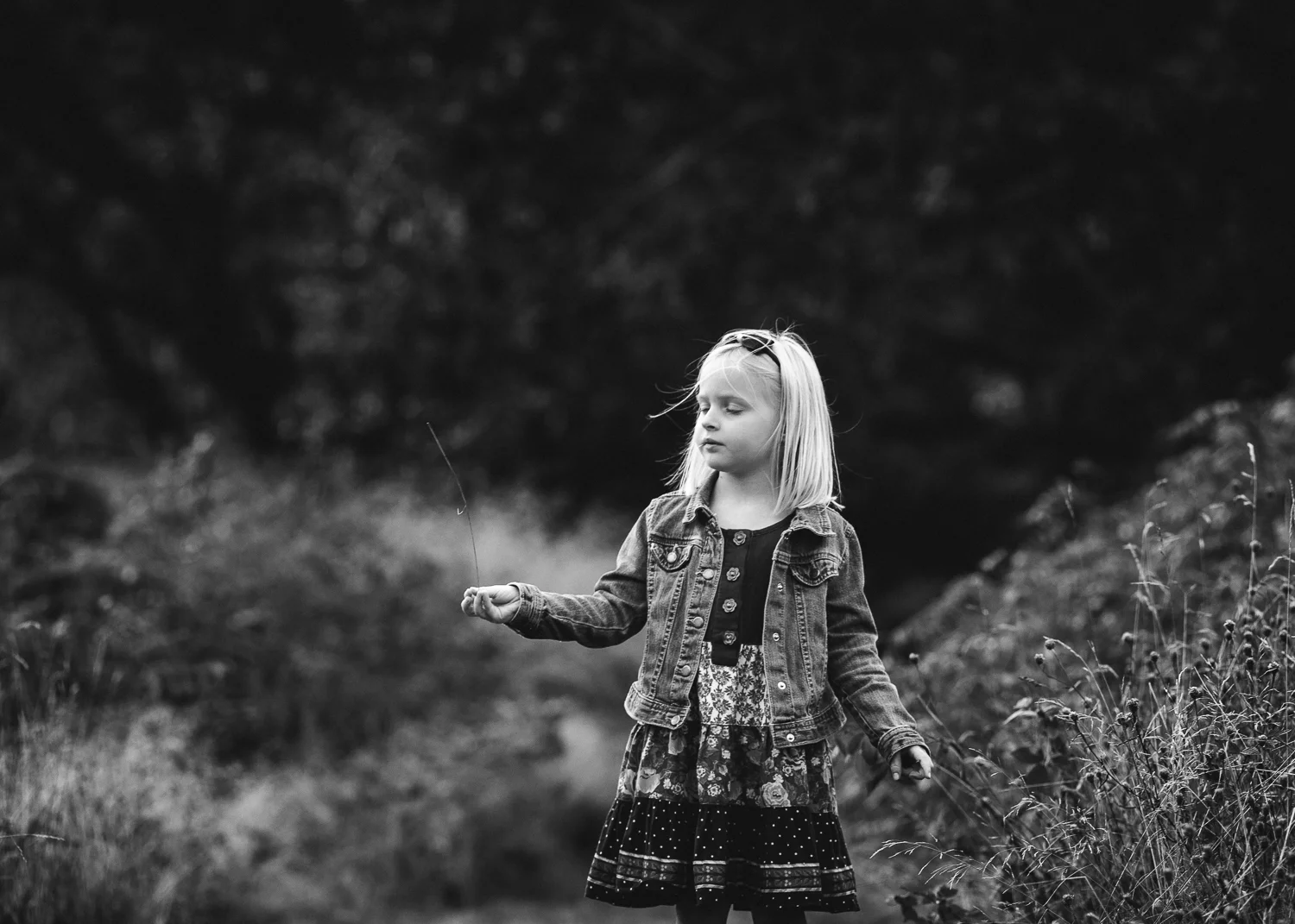 untitled-18.jpg