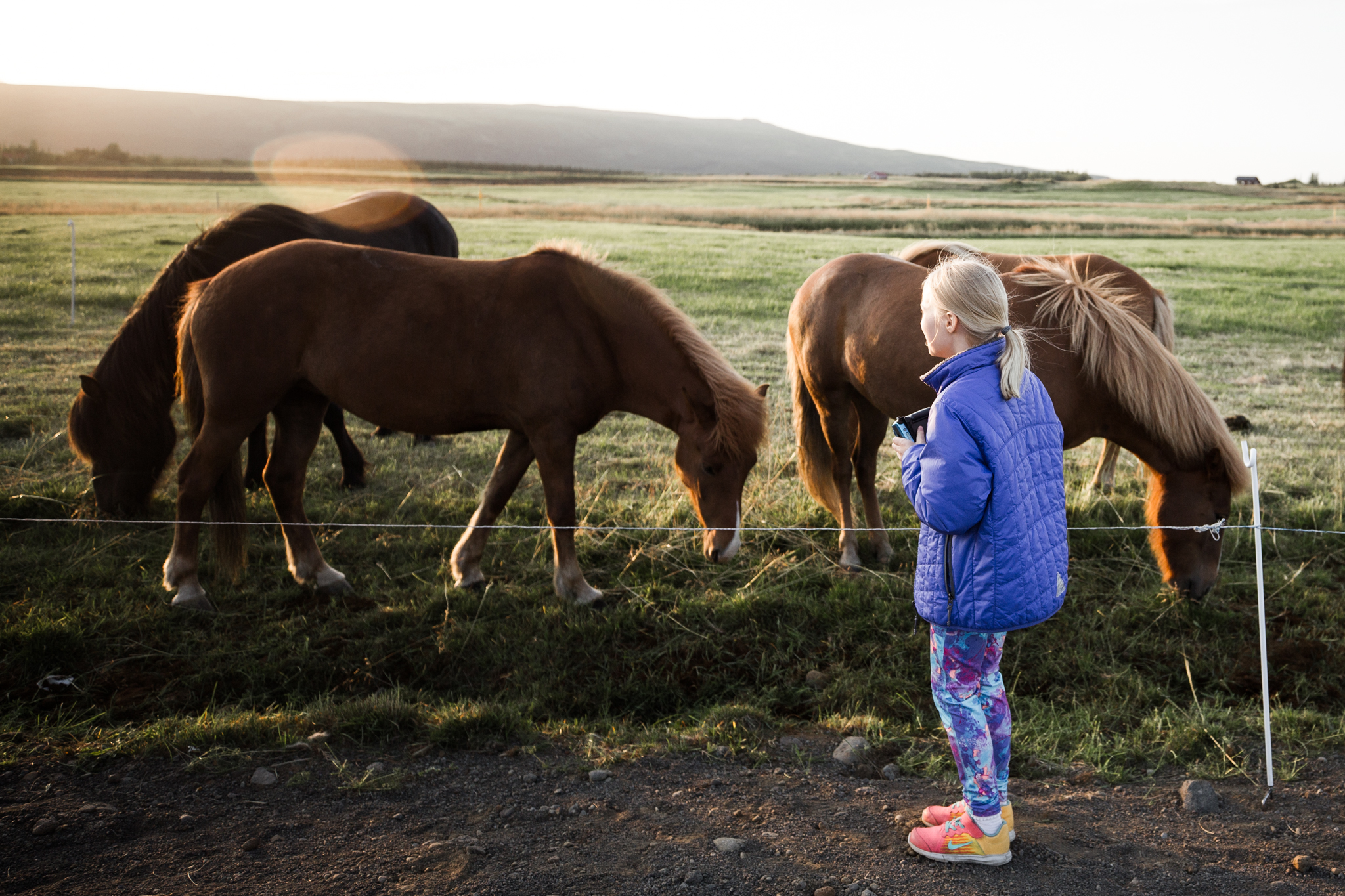 Iceland Day 1-17.jpg