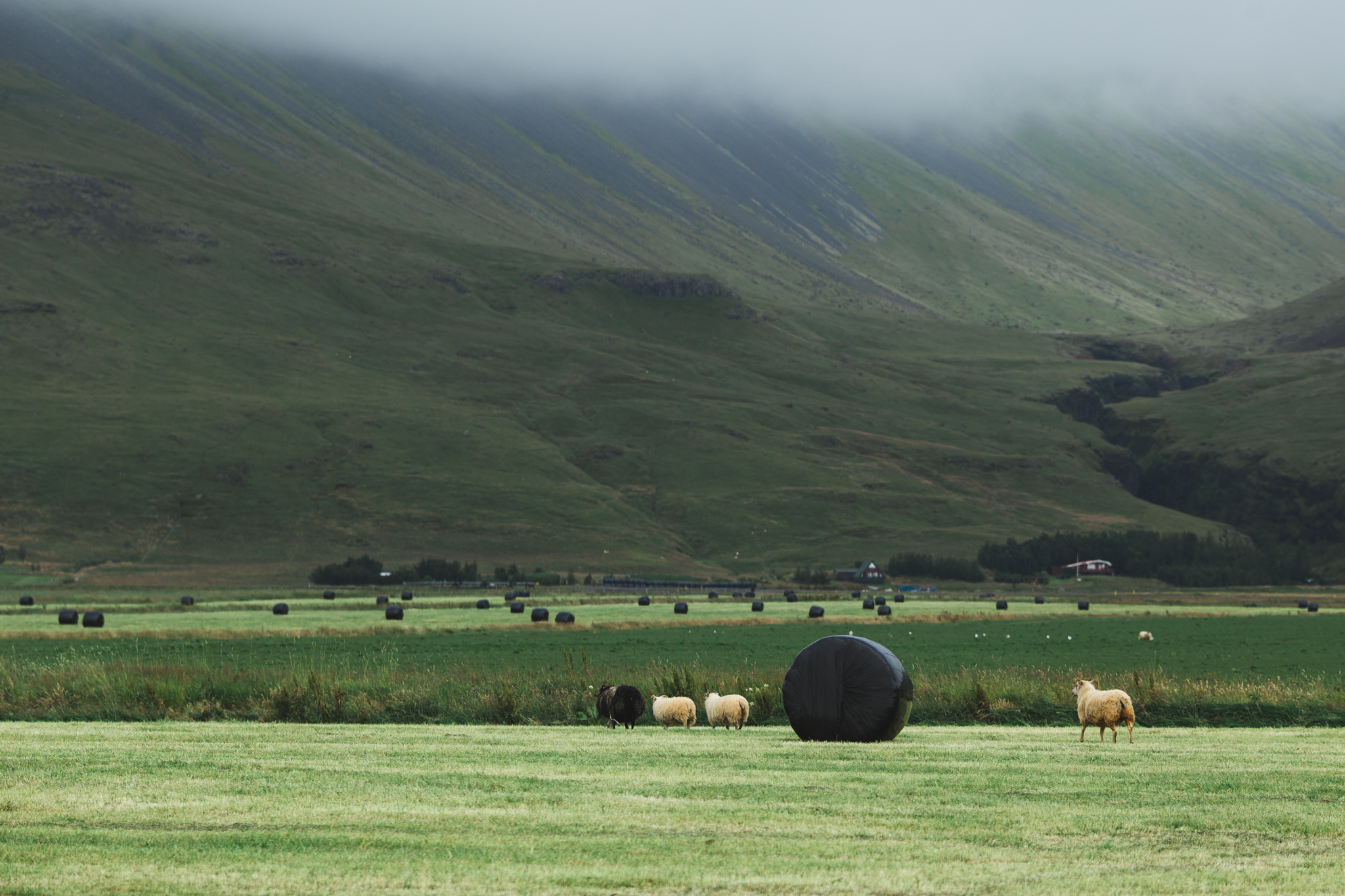 Iceland Day 2-3.jpg