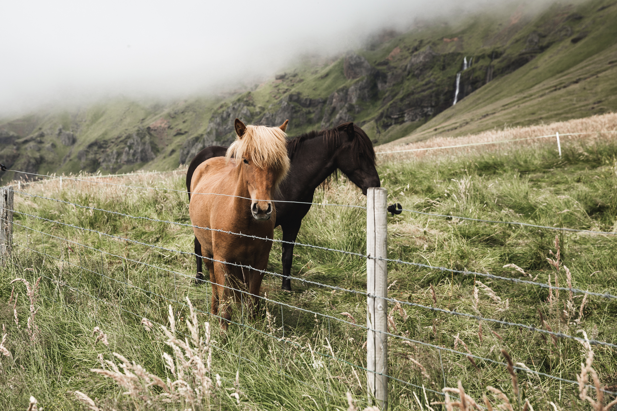 Iceland Day 2-8.jpg