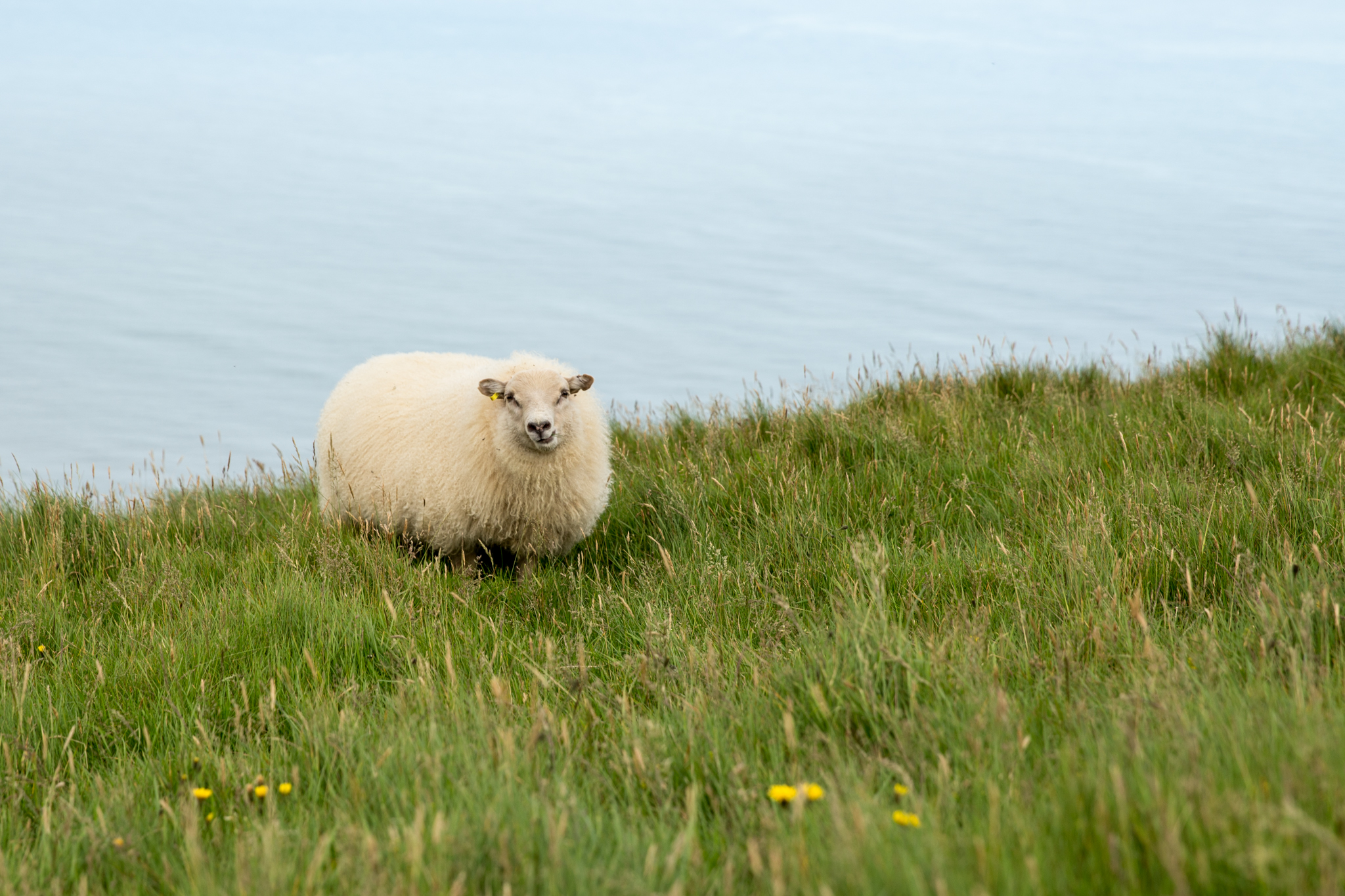 Iceland Day 2-50.jpg