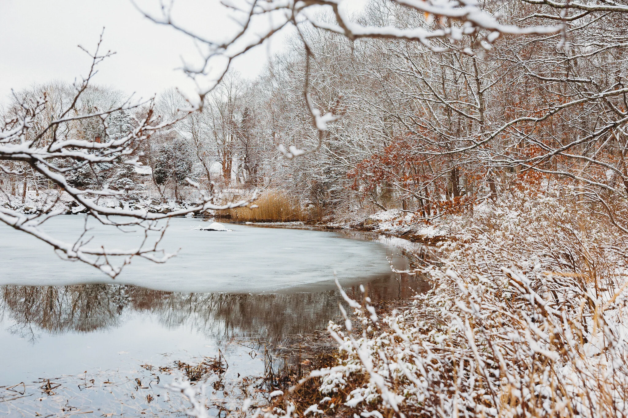 fall and winter-2.jpg