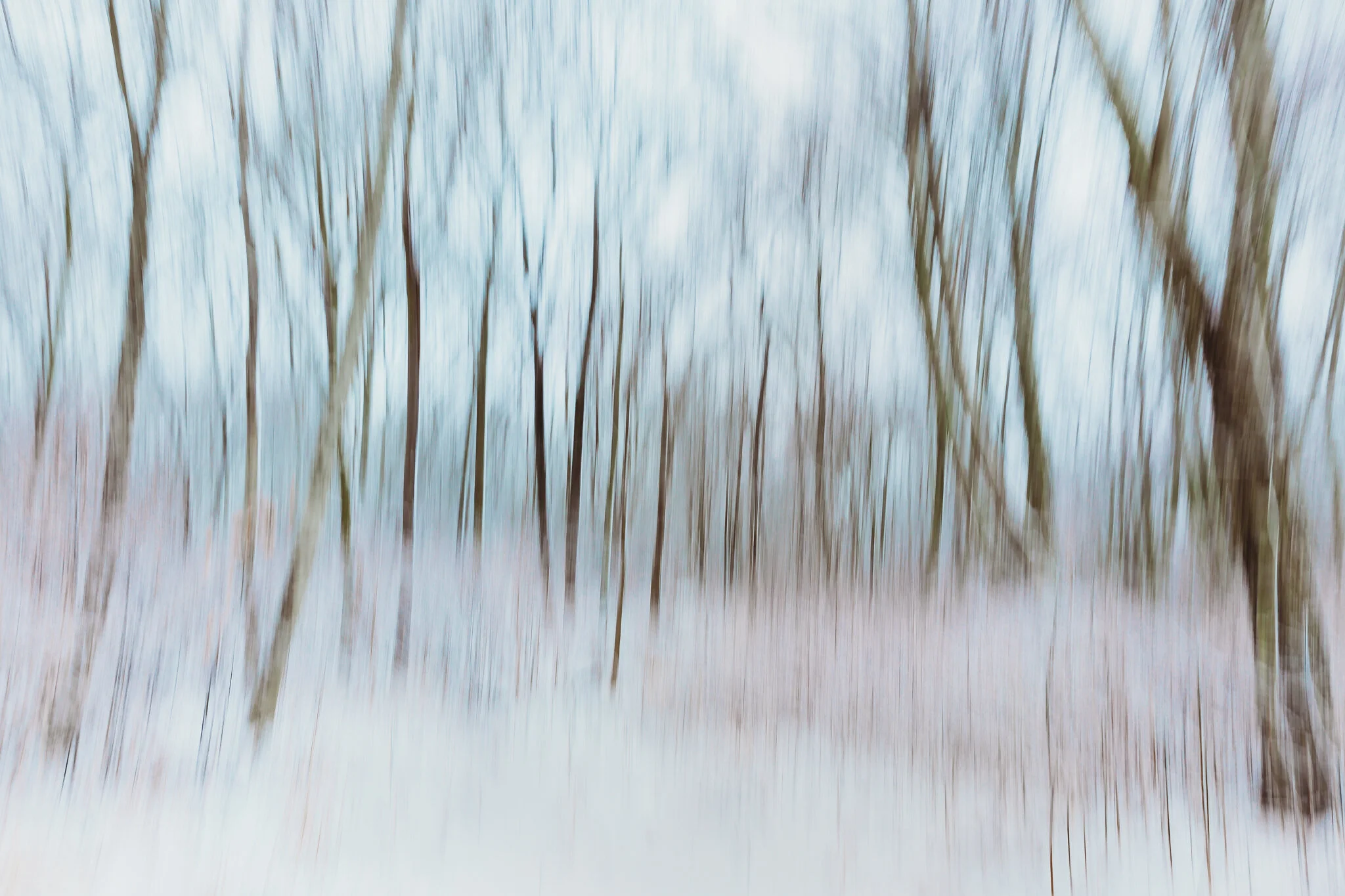 p52 vertical panning.jpg