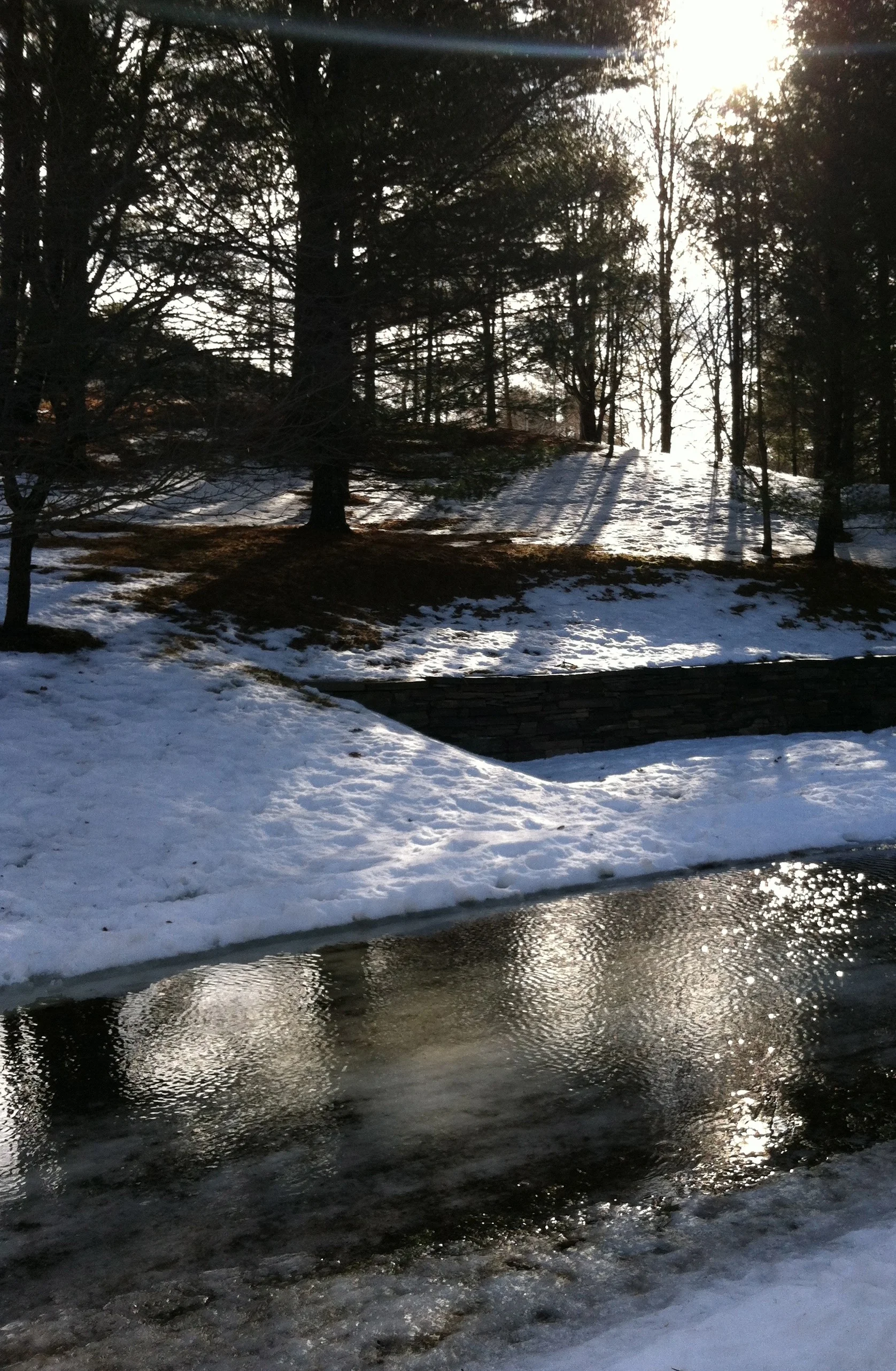 Solstice Shadows