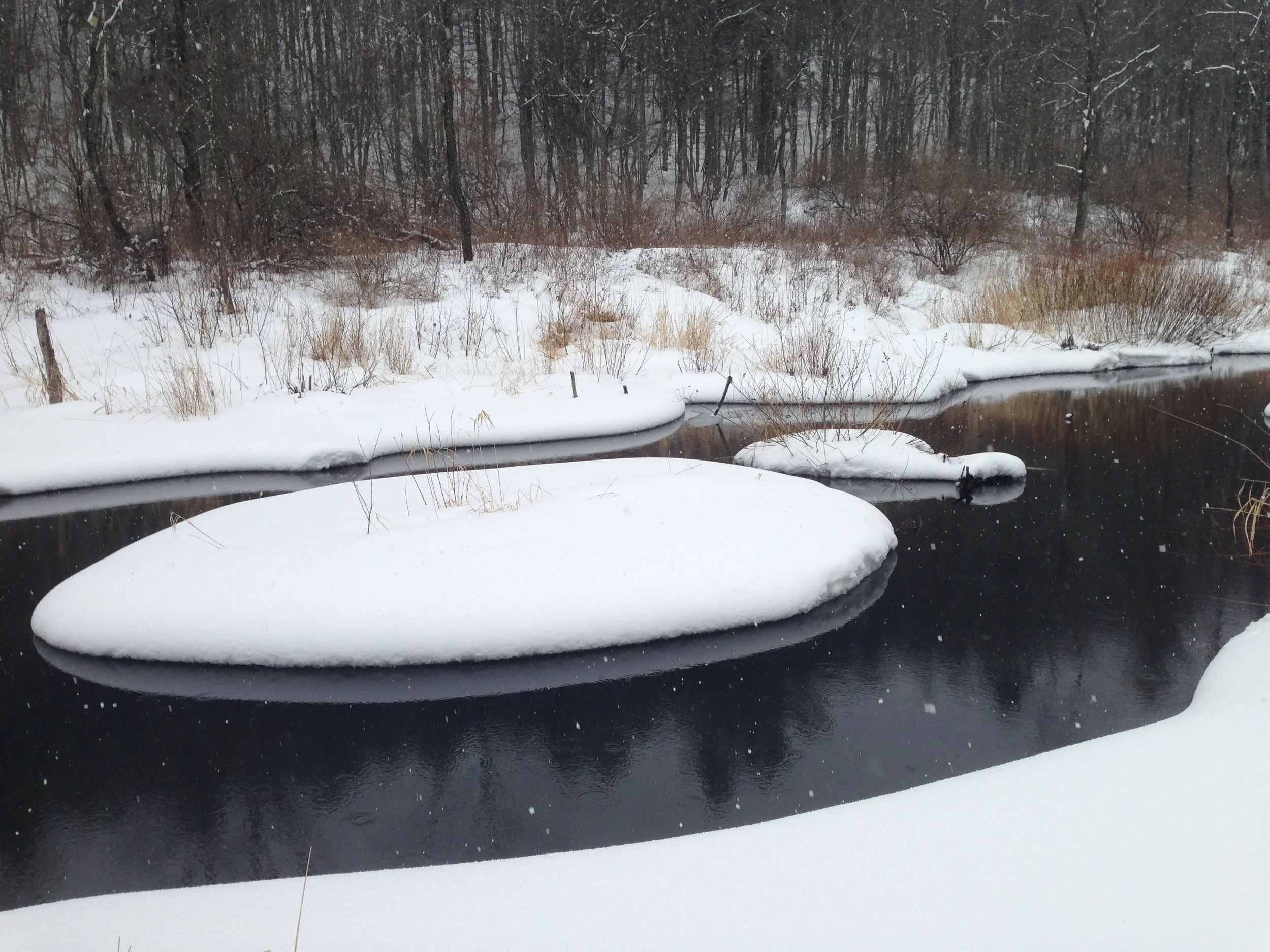 Late Winter