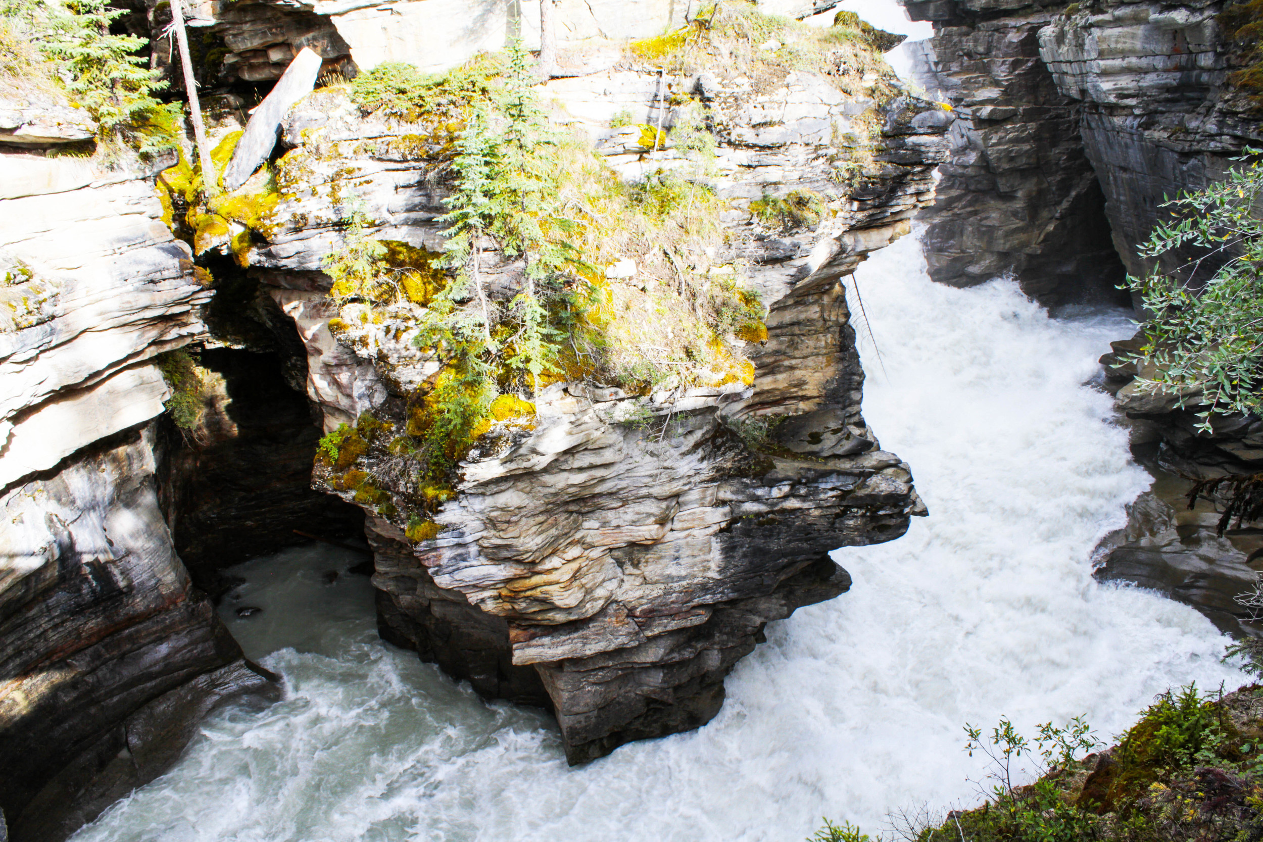 _MG_8145.jpg