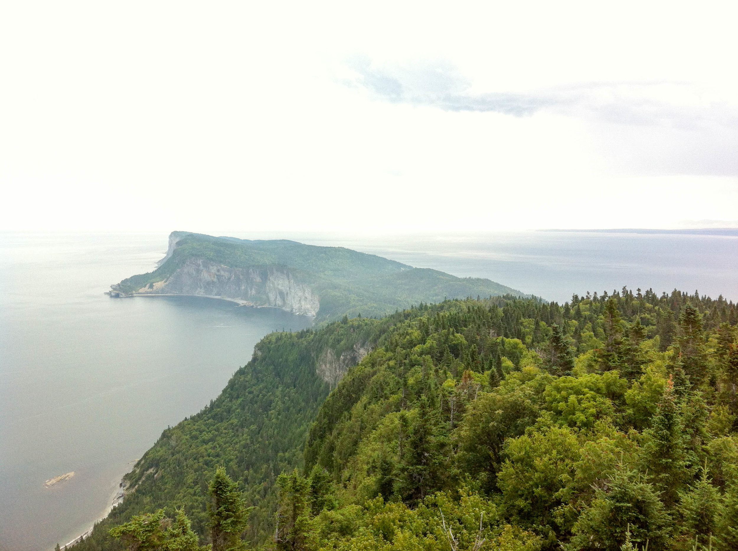 2012-08-09 14-56-01.jpg