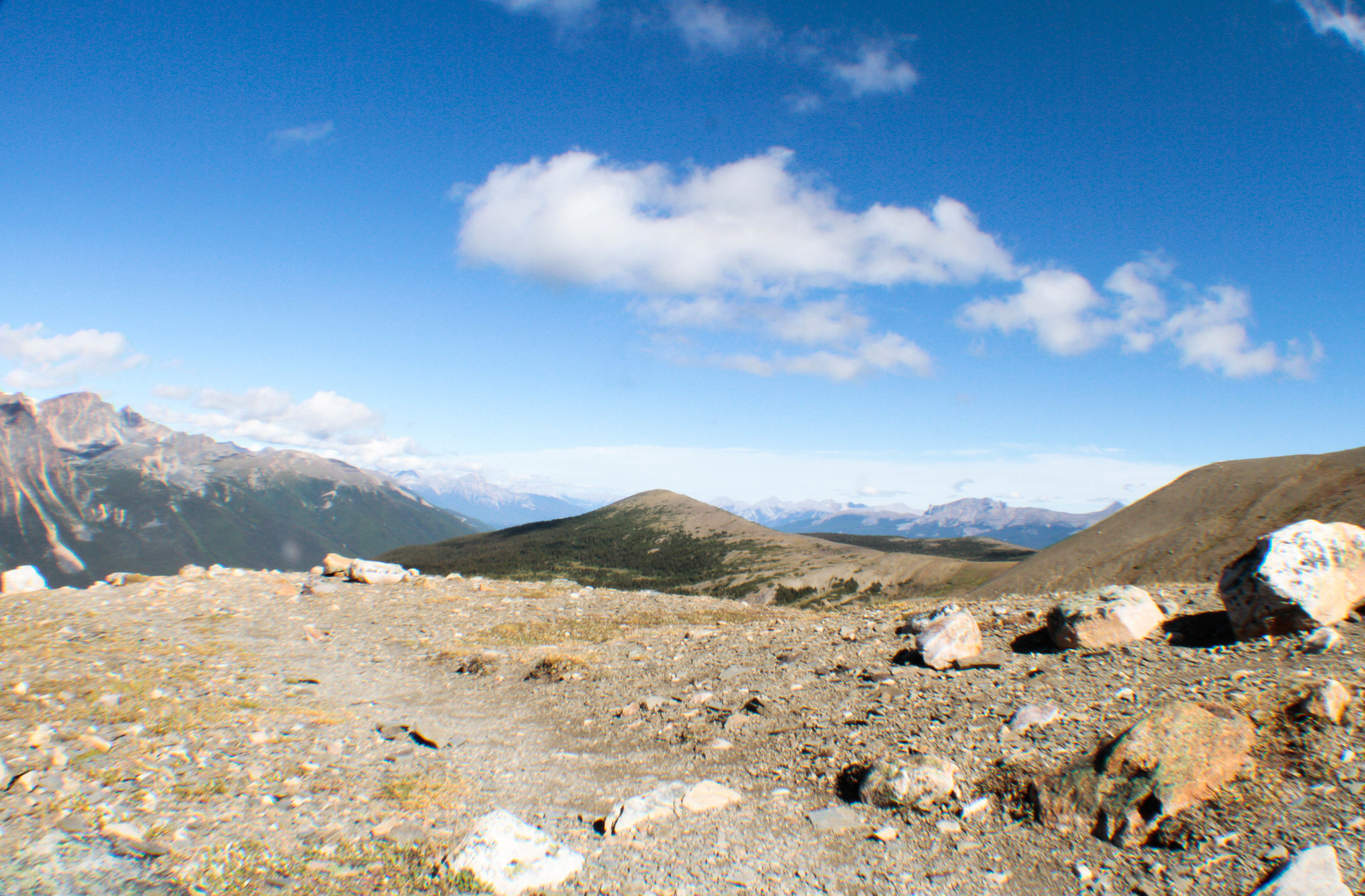 _MG_8298.jpg