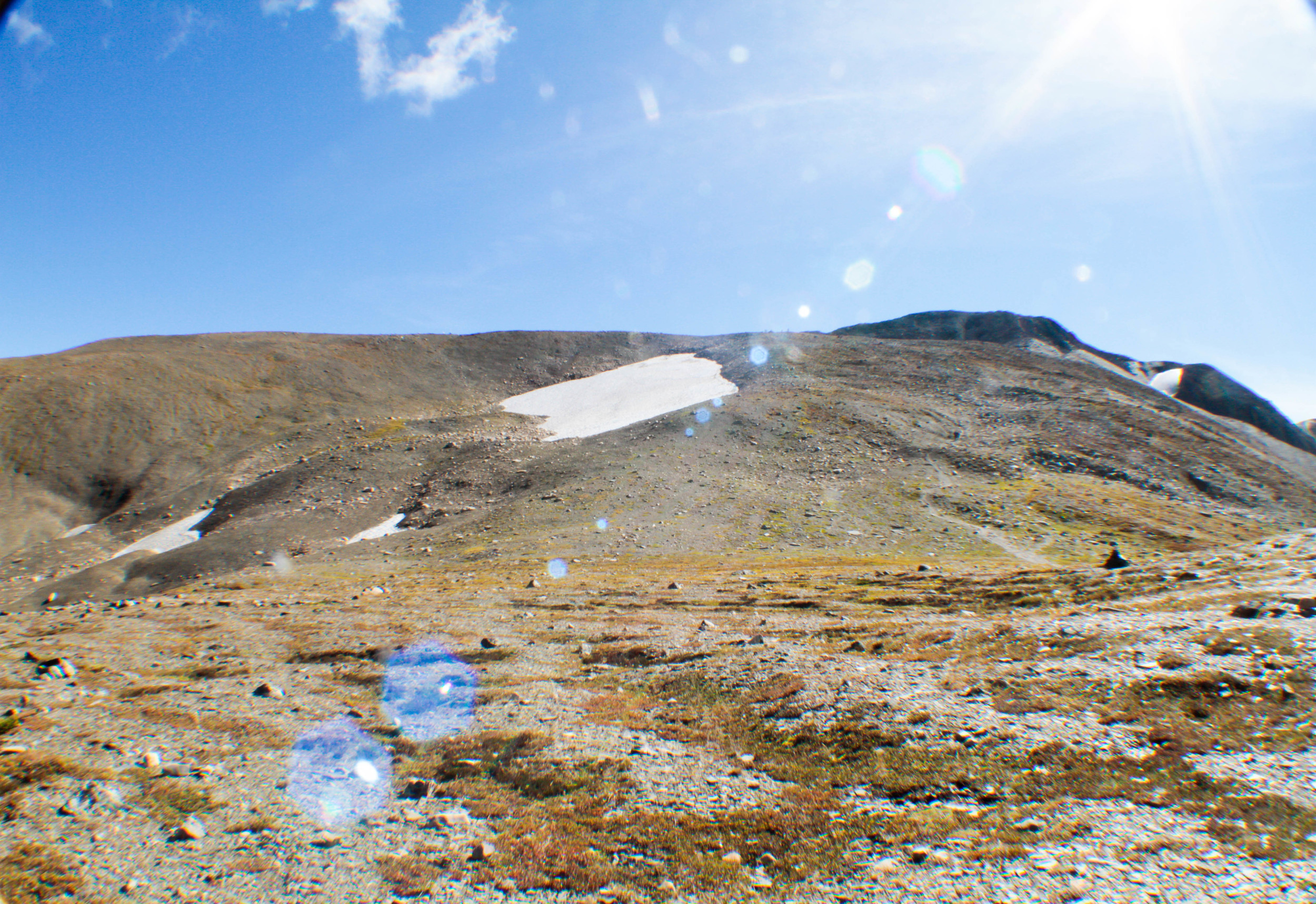 _MG_8308.jpg