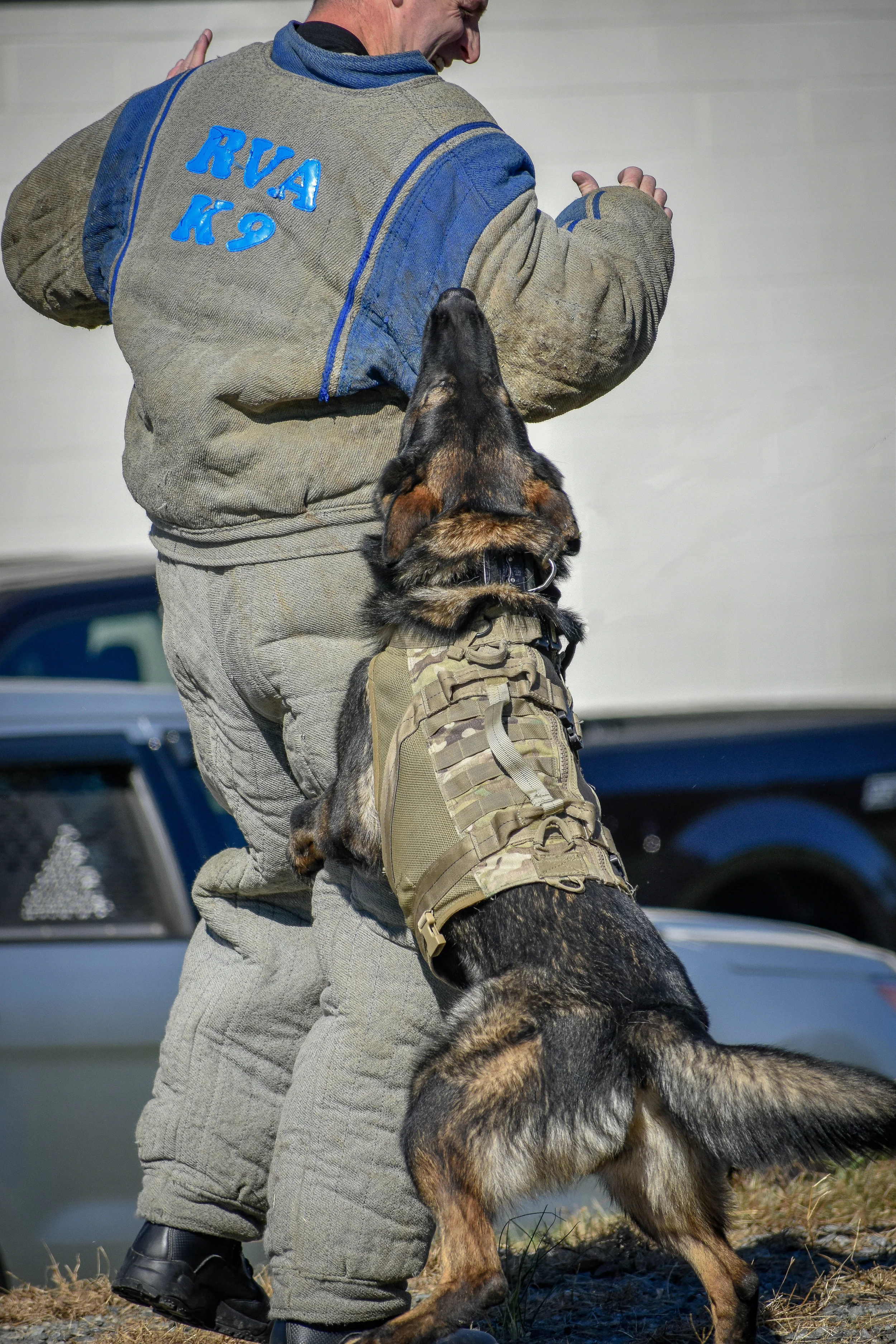 K9 5.jpg