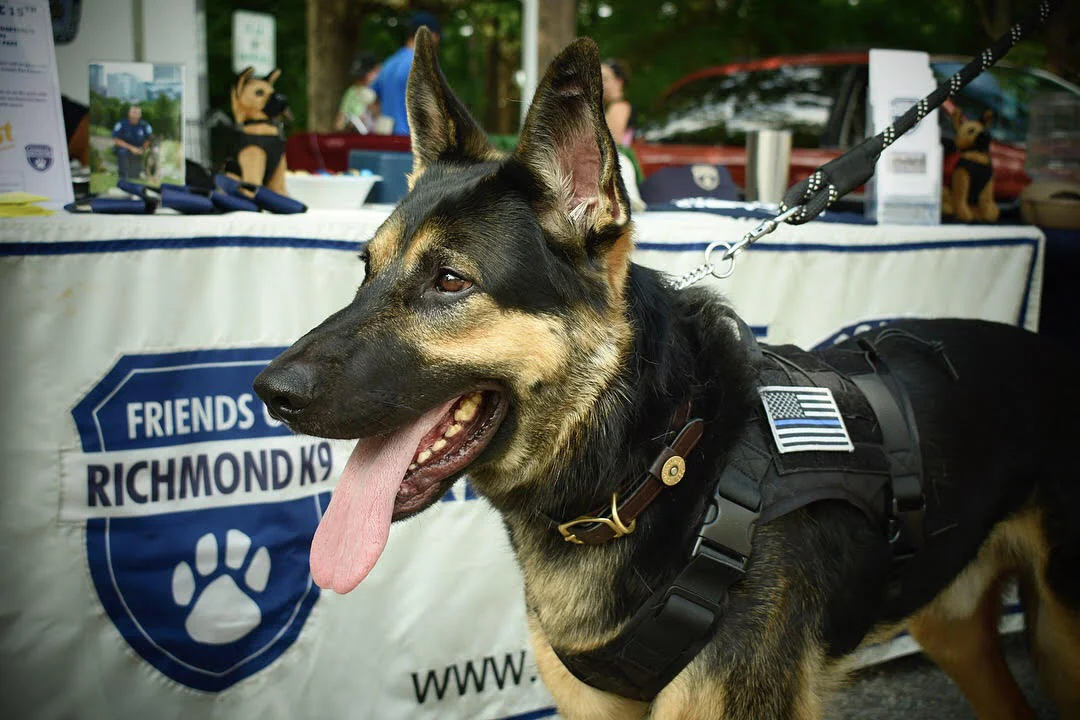 K9 11.jpg