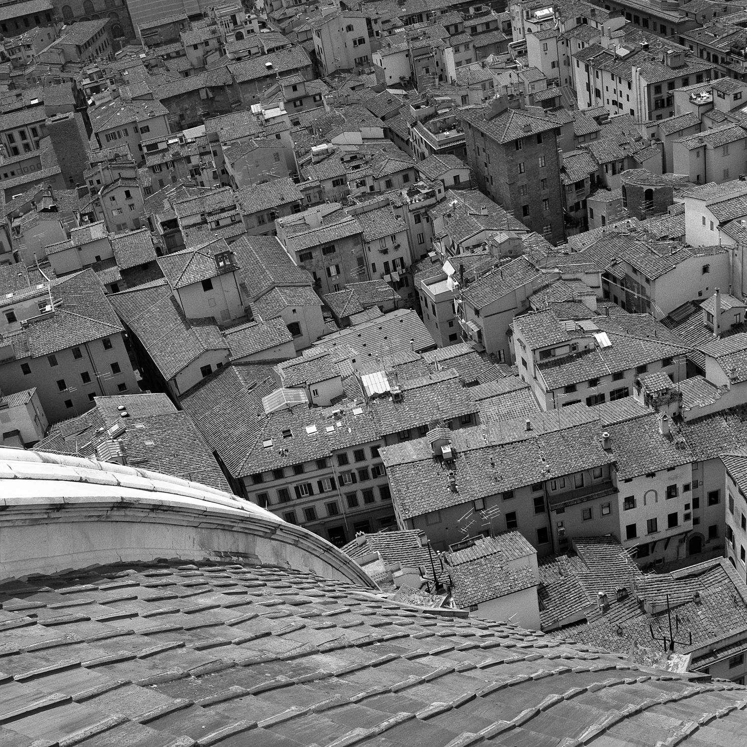 Firenze