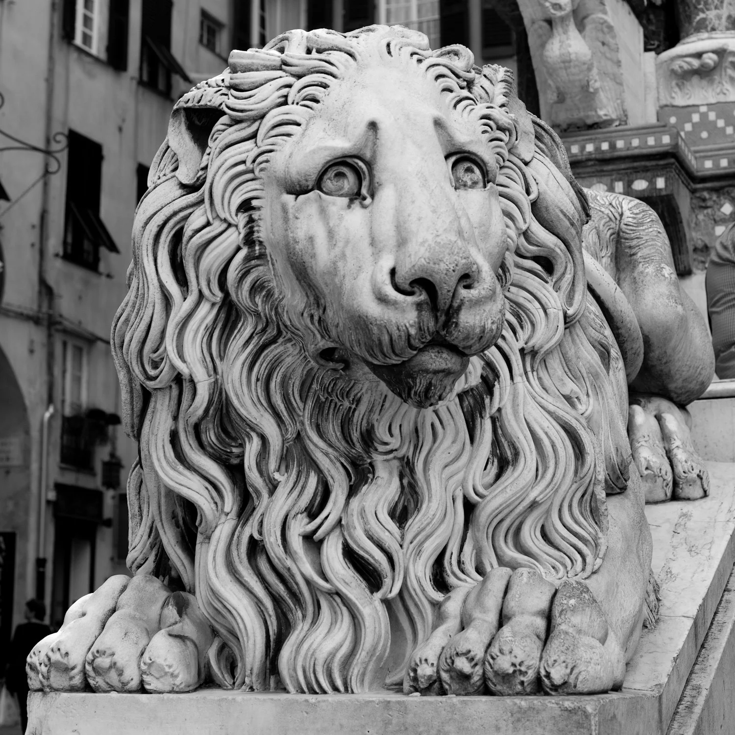 Genova
