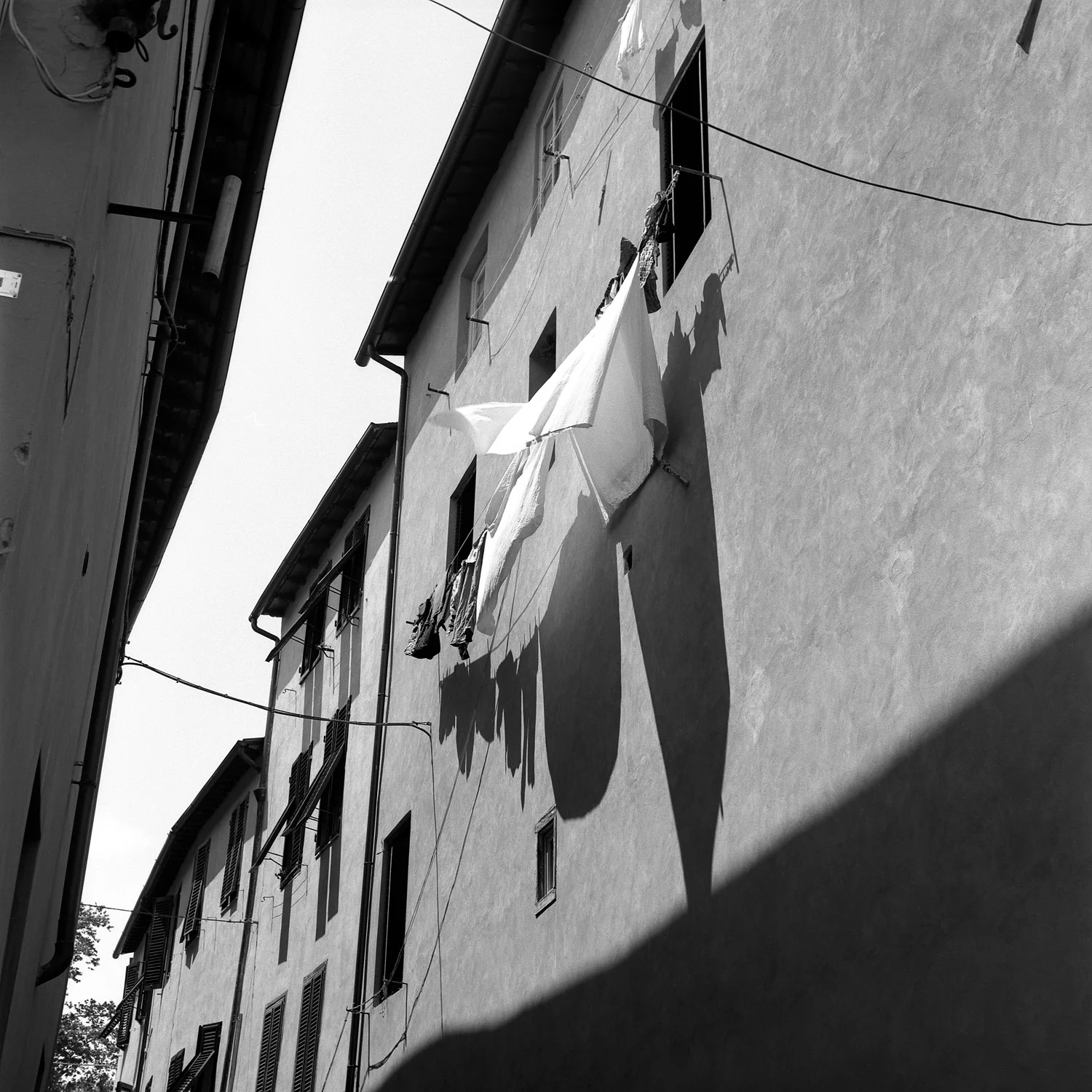Lucca
