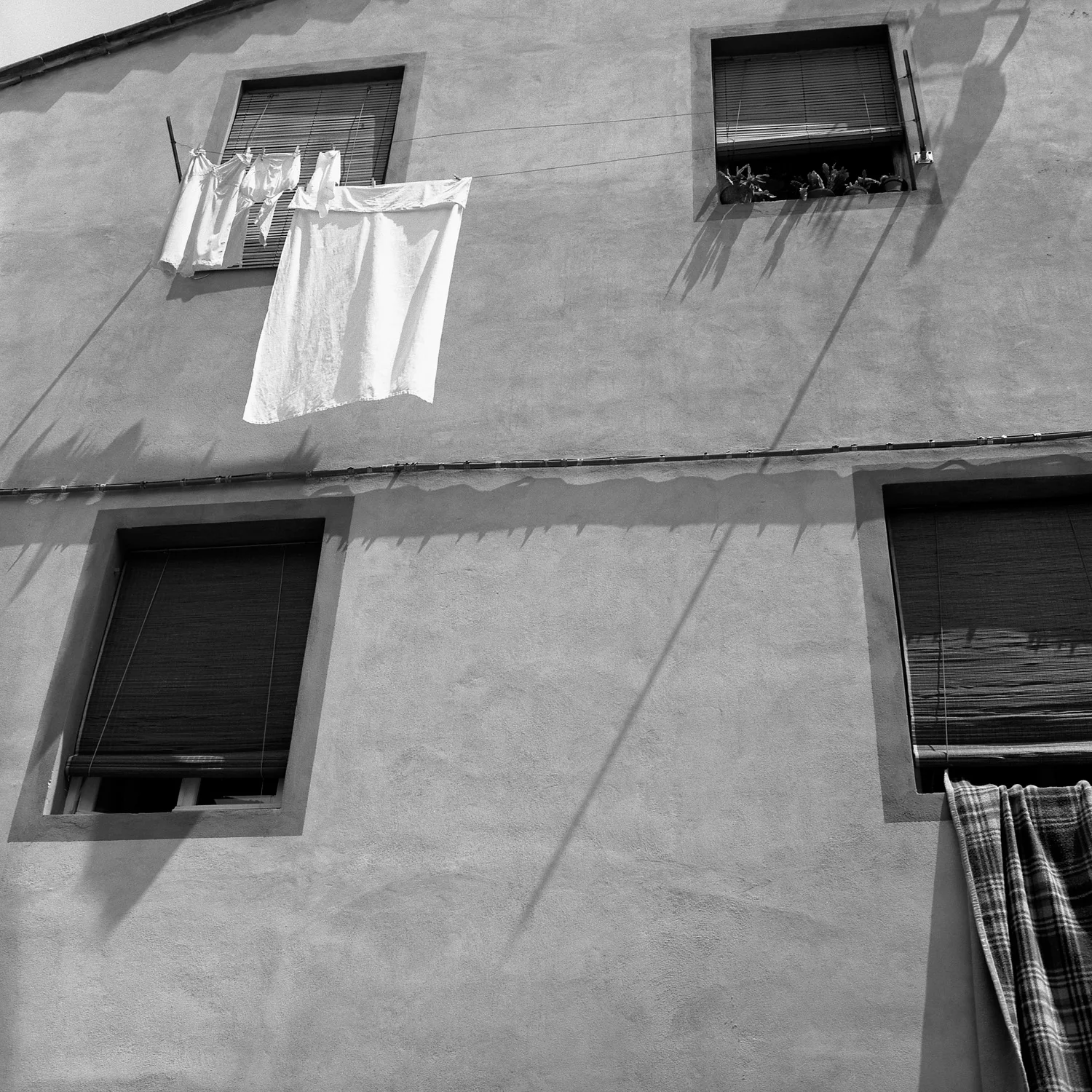 Lucca