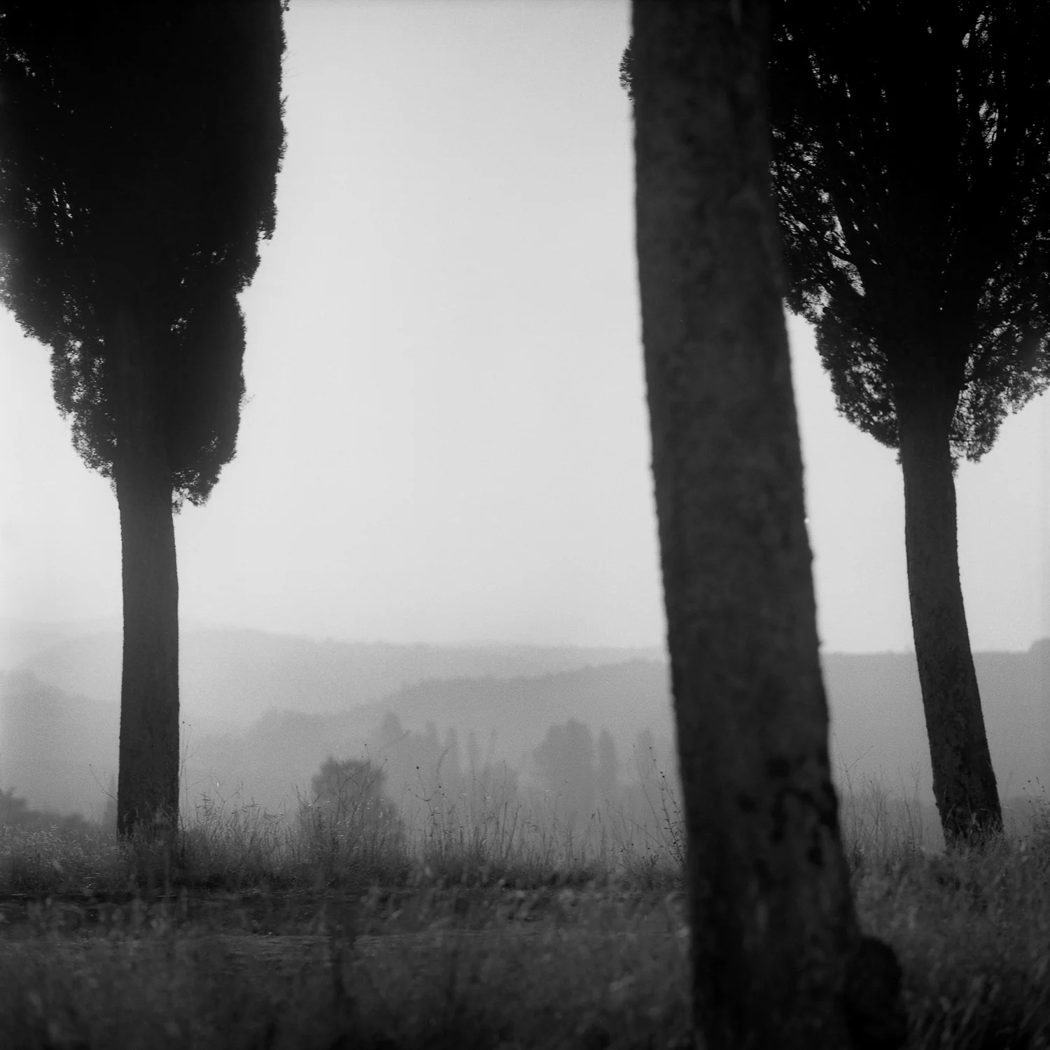 Toscana