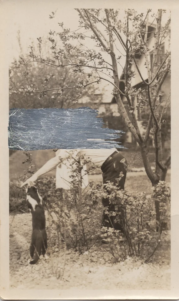 This Much XXIII, 2018