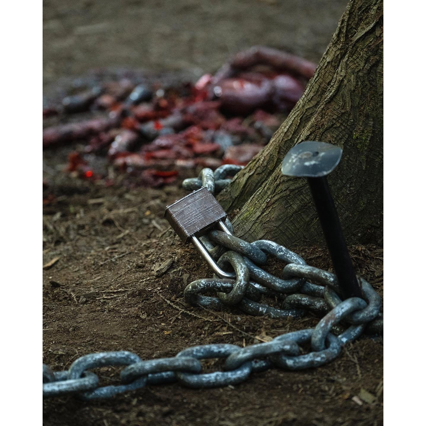 Keep the wolf at bay. Props on Hunter&rsquo;s Cabin. 

Film IG: @hunterscabin_rm
Director: @nceevanheerden
Producer: Victoria Burkhart @sizzlesnapproductions
Actors: @jedigoodacre @tobyhargrave
Director of Photography: @zimmermanbryce
Editor: C.A van