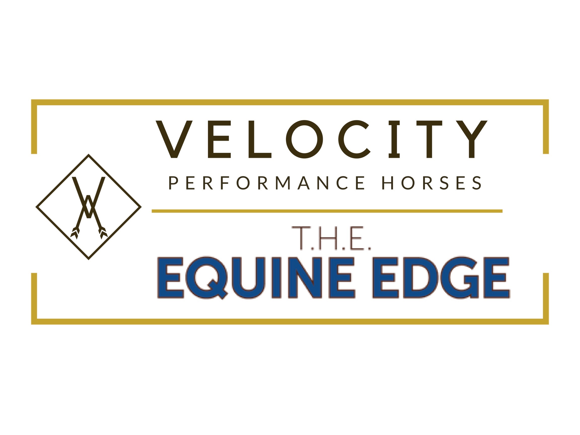 Velocity logo.jpeg