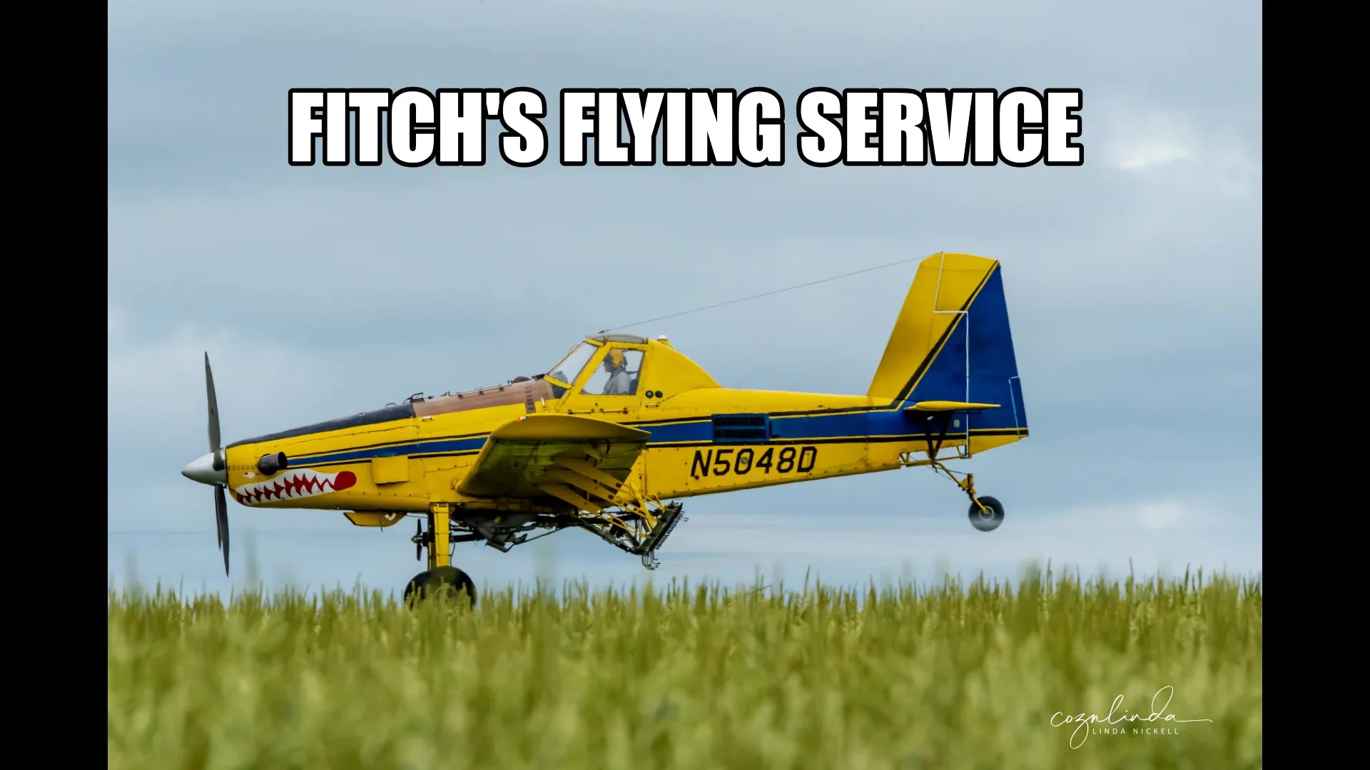 Fitch's logo.jpg