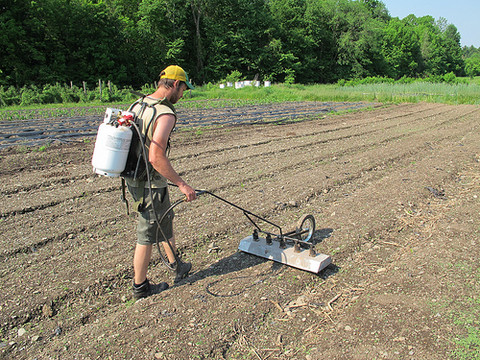 Six Best Tools For The Market Garden The Market Gardener