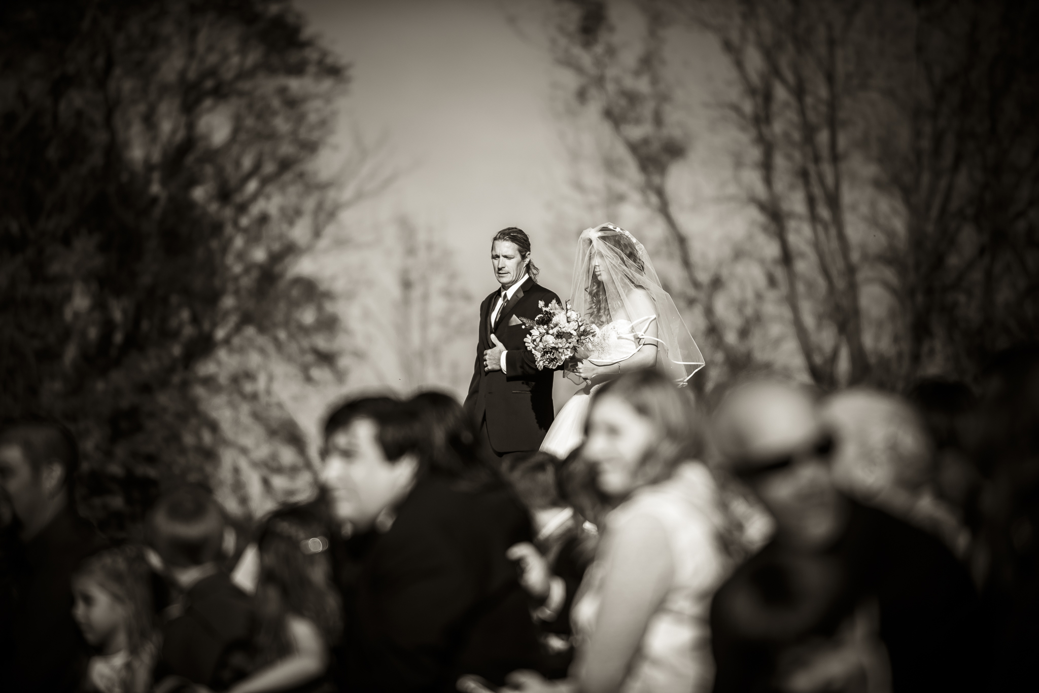 JessMatt-Online-Ceremony-37.jpg